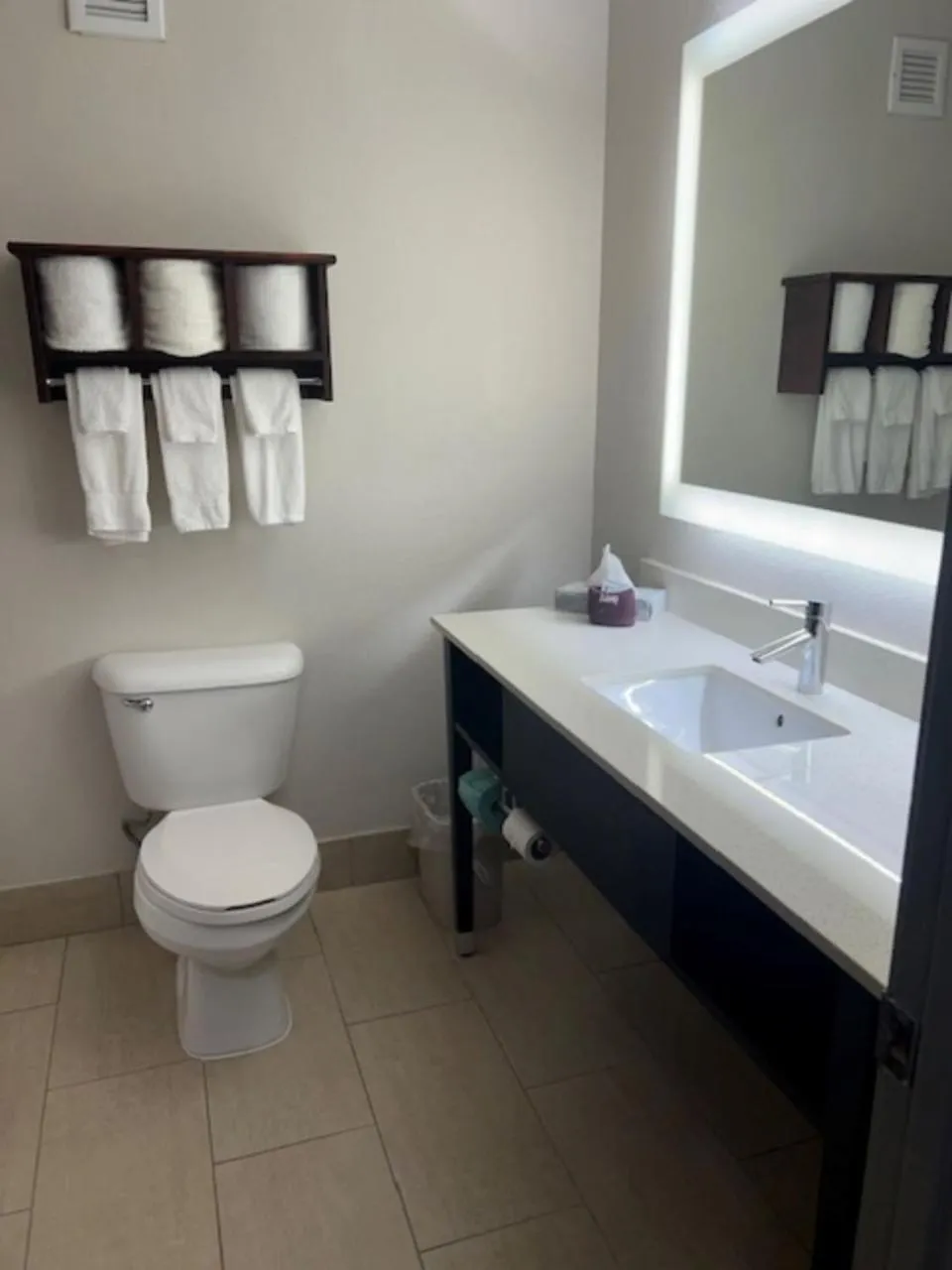 Bathroom in Holiday Inn Express Hotel & Suites Fort Payne by IHG