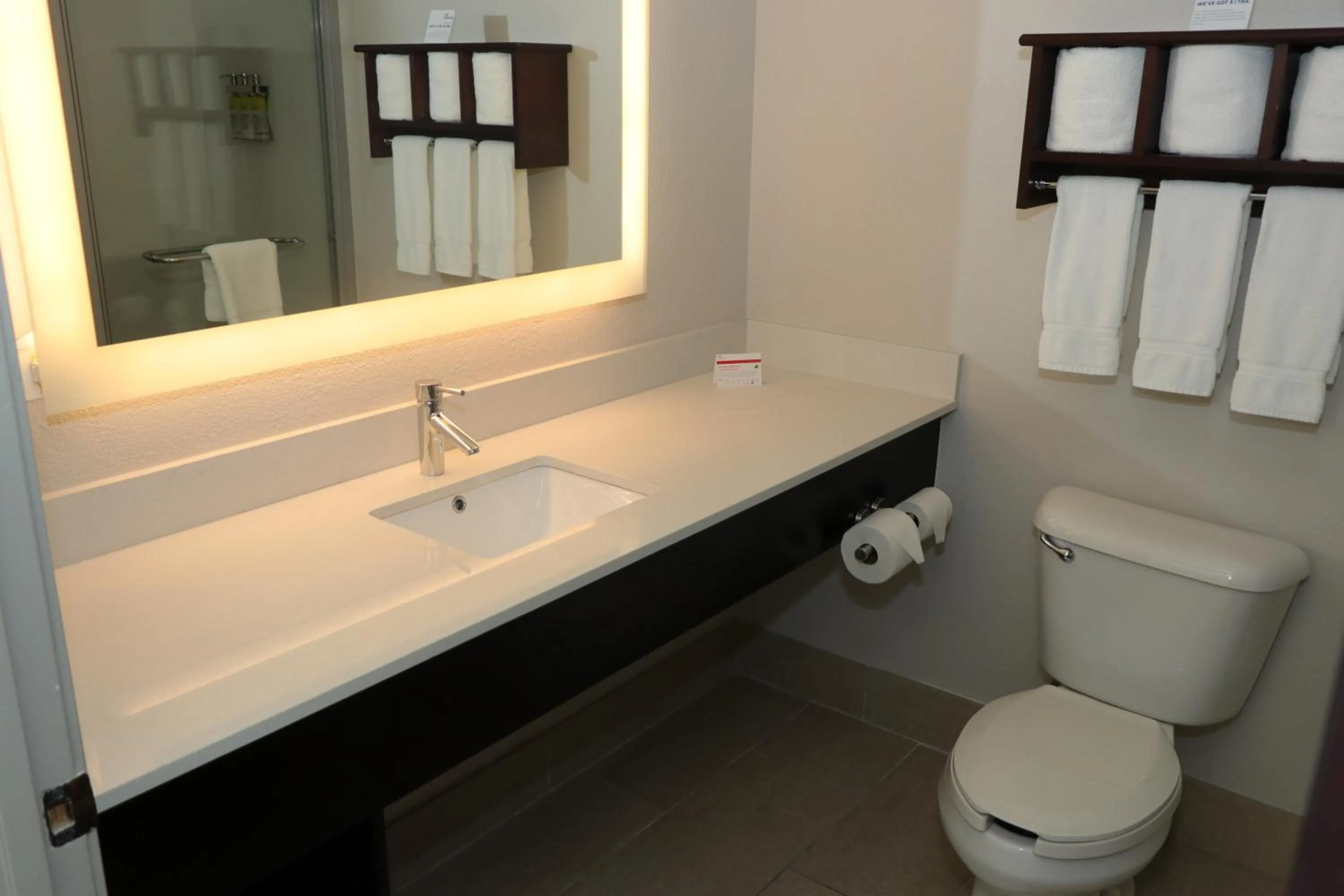 Bathroom in Holiday Inn Express Hotel & Suites Fort Payne by IHG