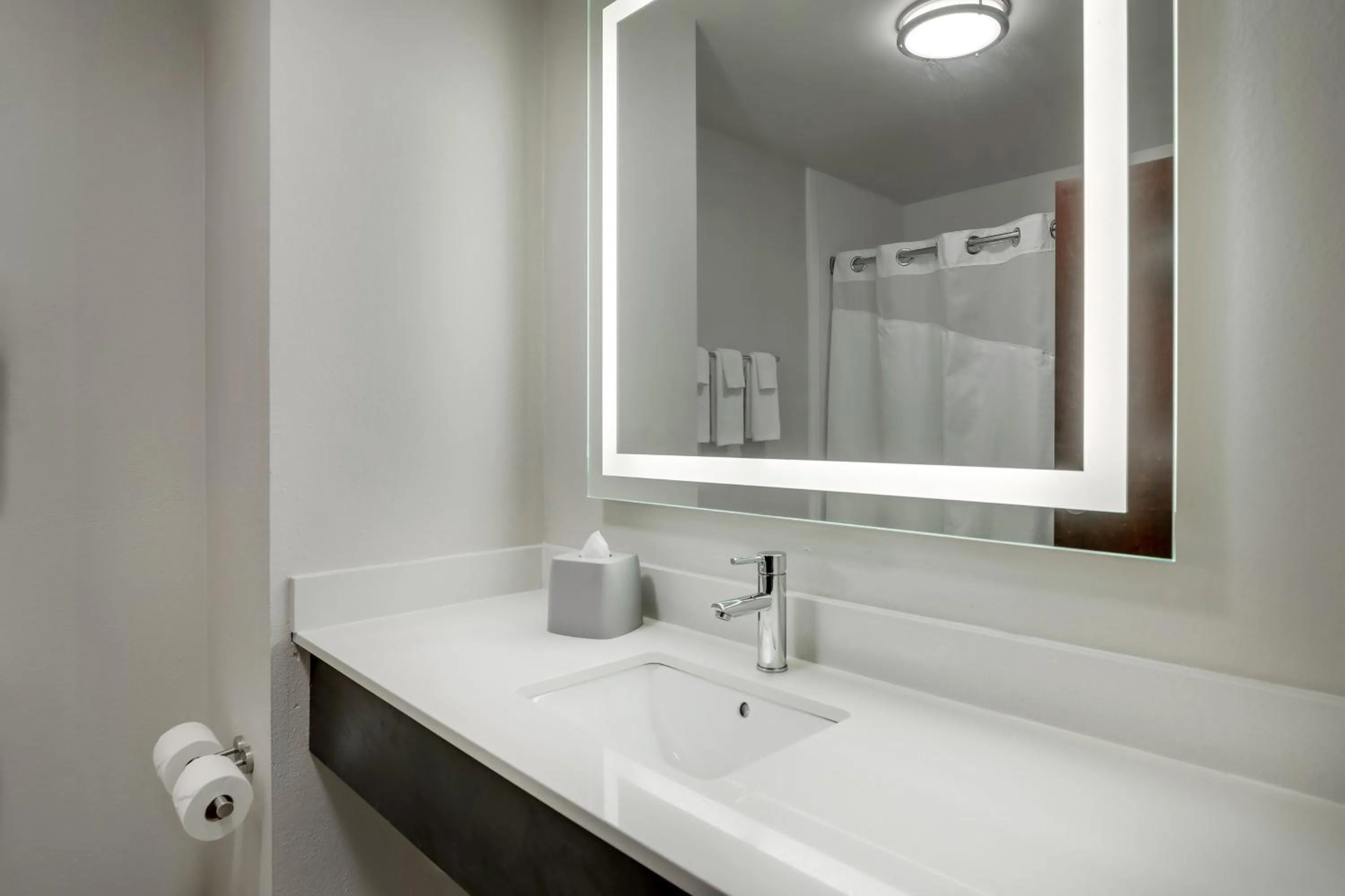 Bathroom in Holiday Inn Express Hotel & Suites- Gadsden by IHG