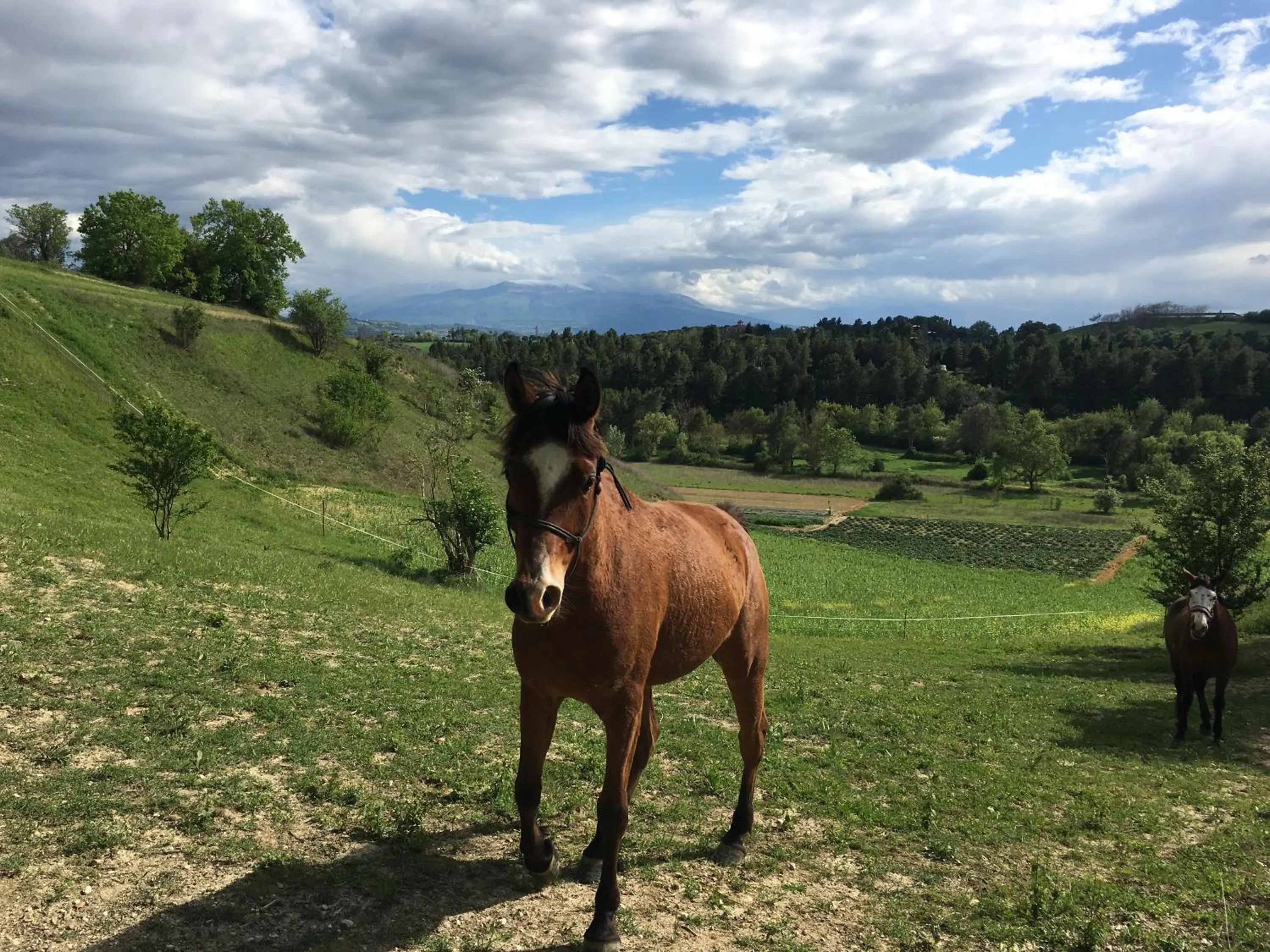 Property building in BellaVista Bike Stop
