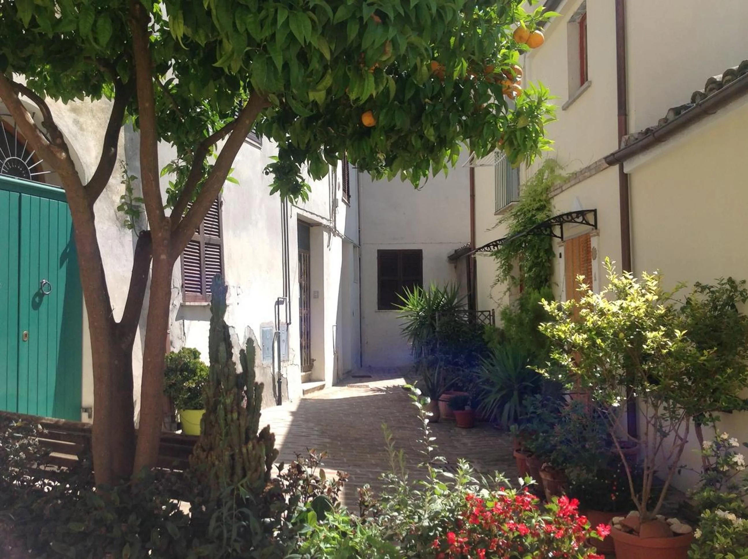 Property building in BellaVista Bike Stop