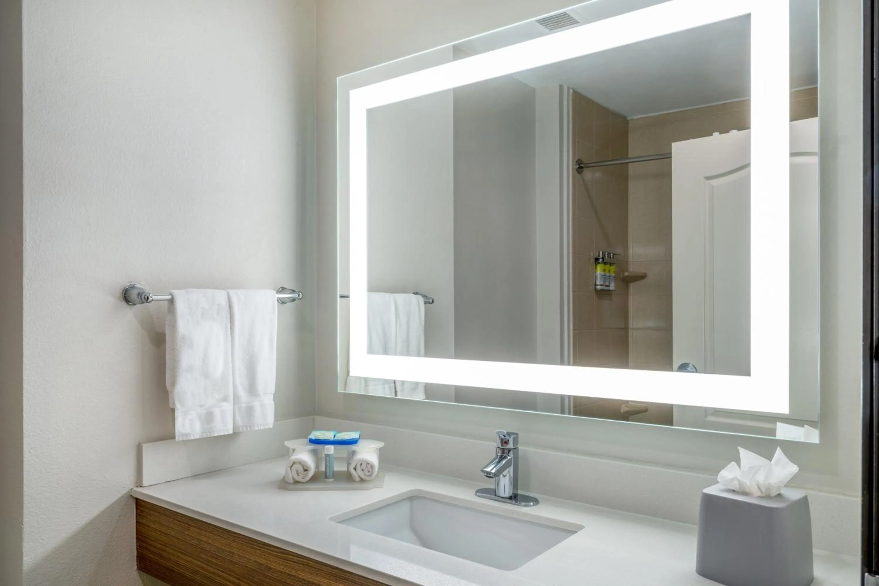 Bathroom in Holiday Inn Express & Suites Dallas East - Fair Park by IHG