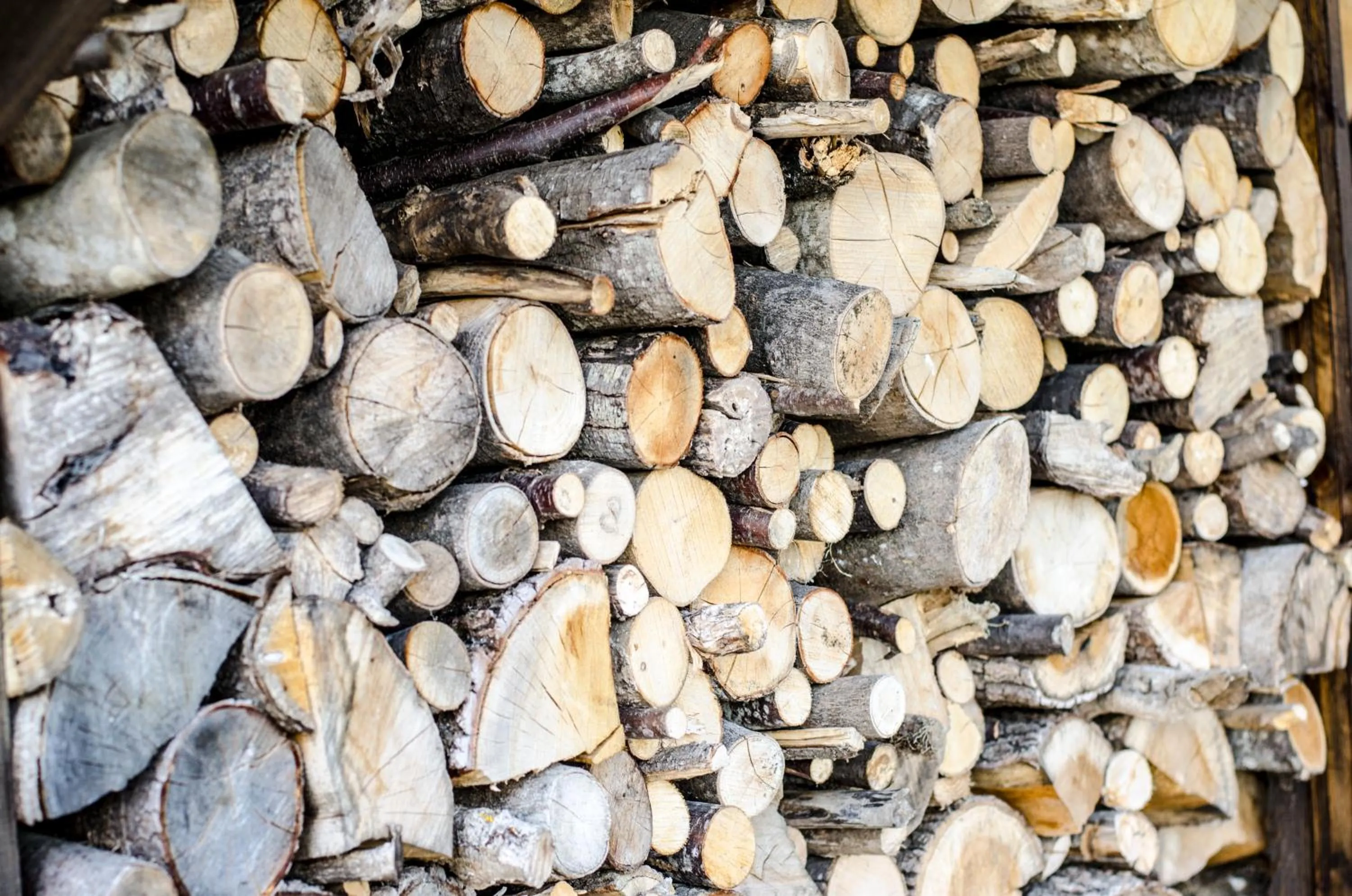 Garden in Calmancino delle Selve