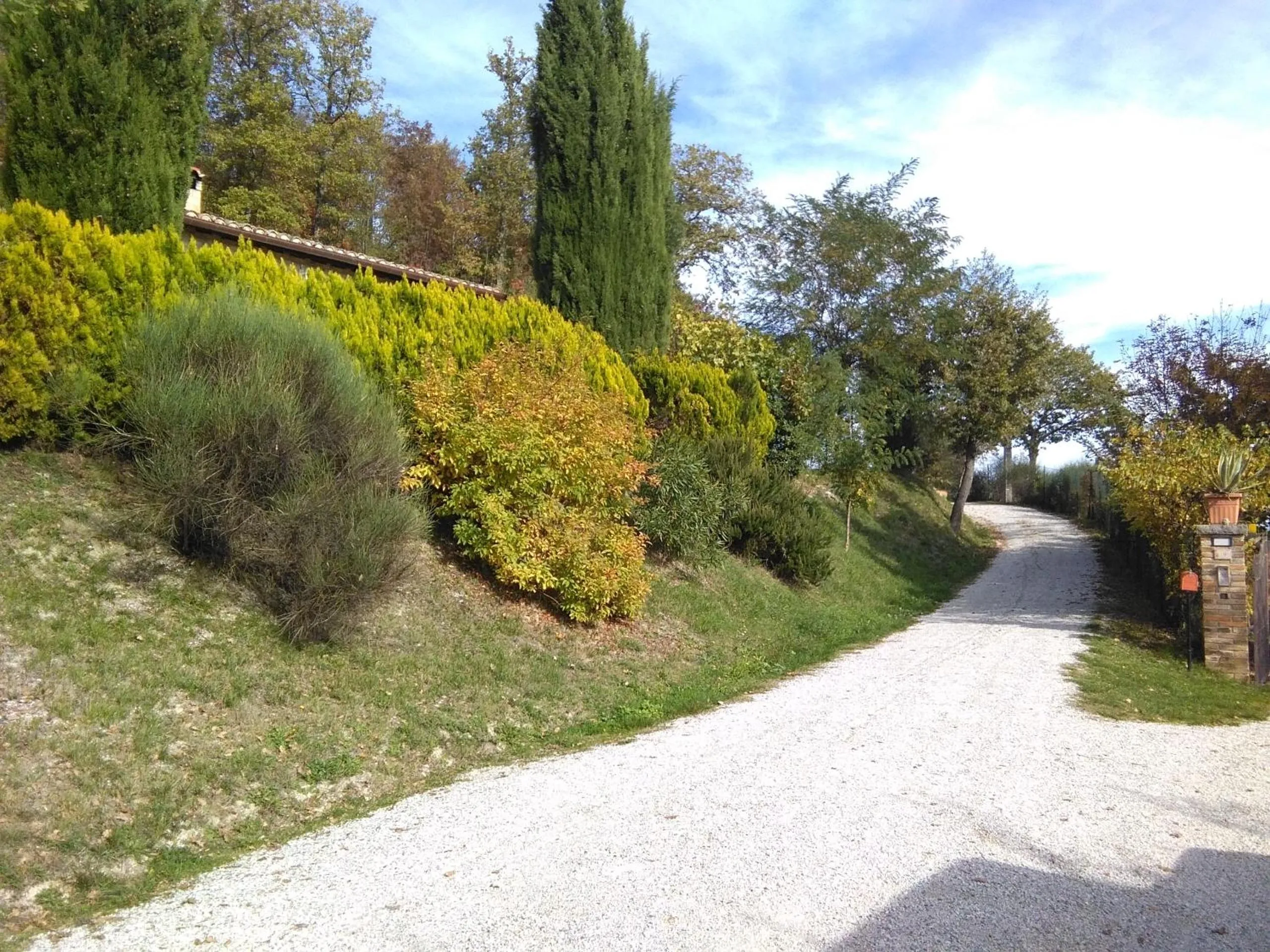 Natural landscape in Calmancino delle Selve
