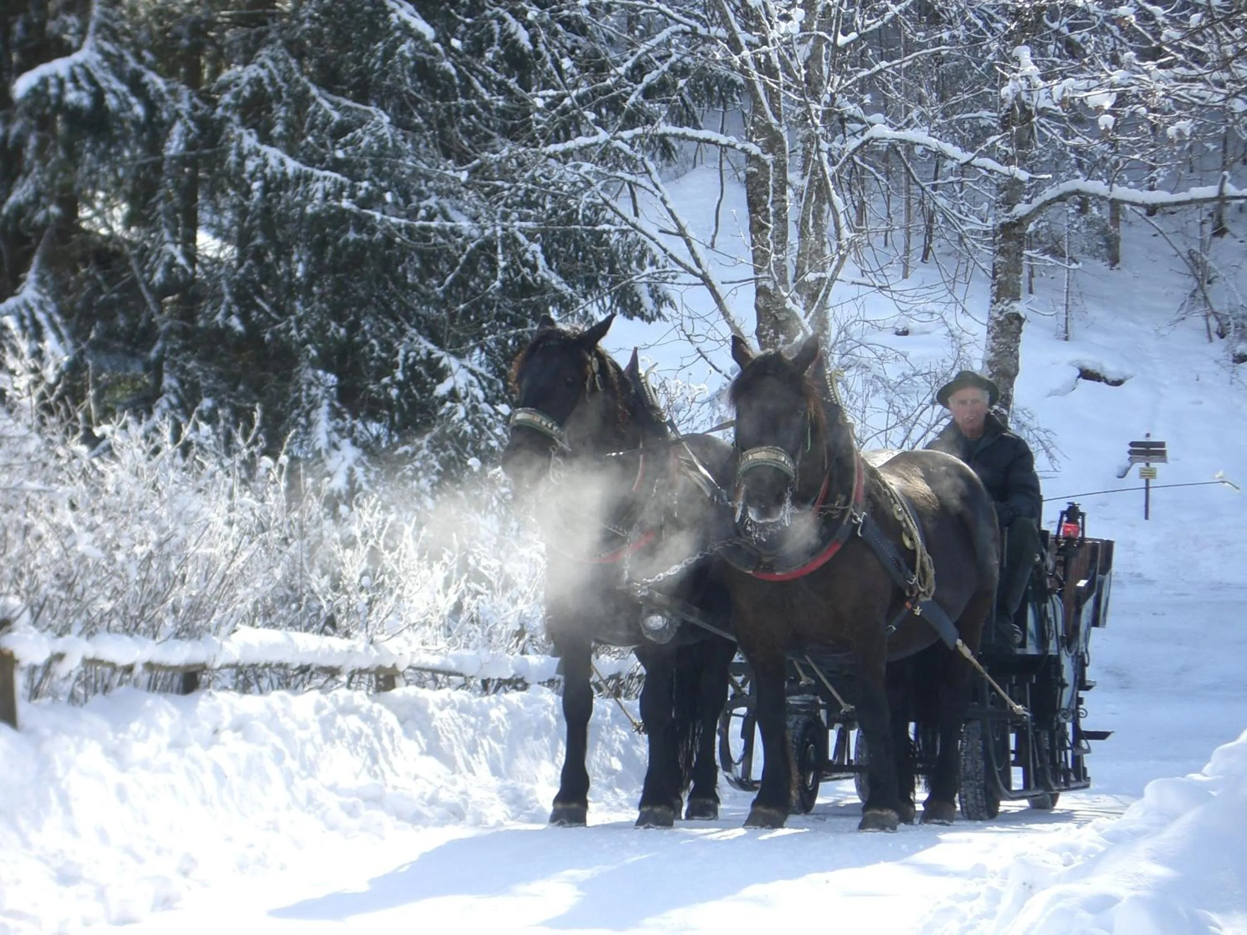 Area and facilities in Hotel zur Post