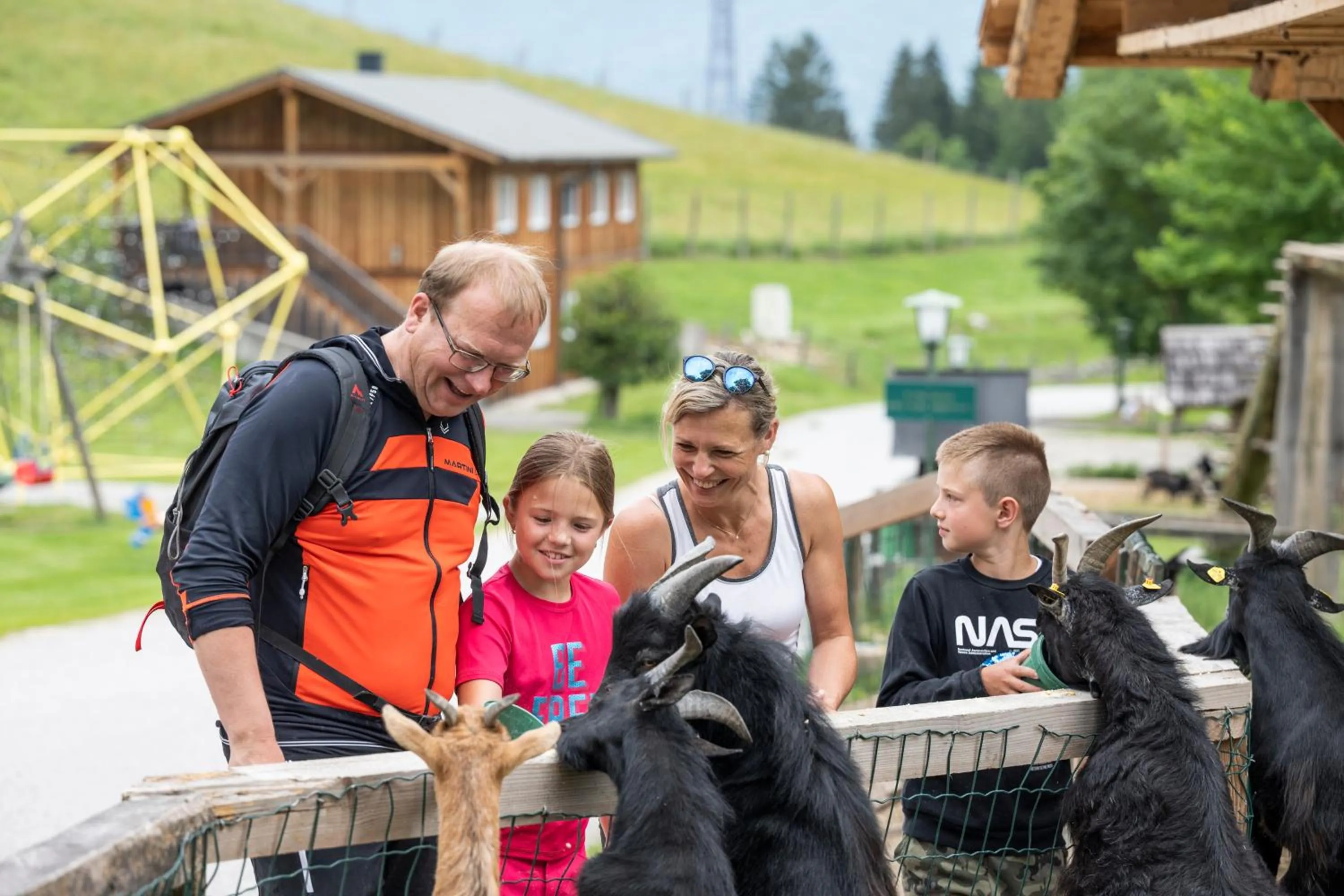 Hiking in Gasthof Kleefeld