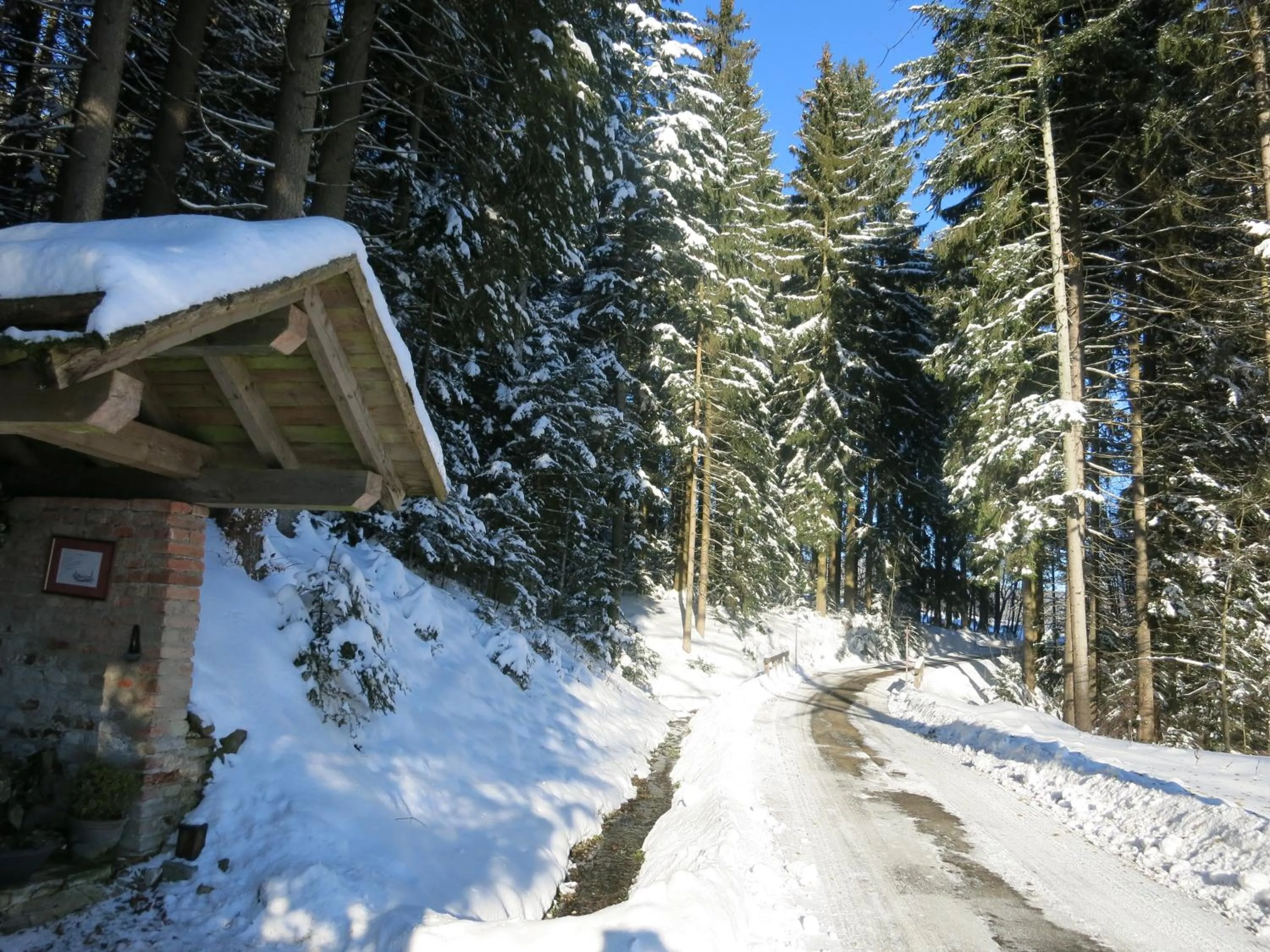 Hiking in Hotel Hirschenstein