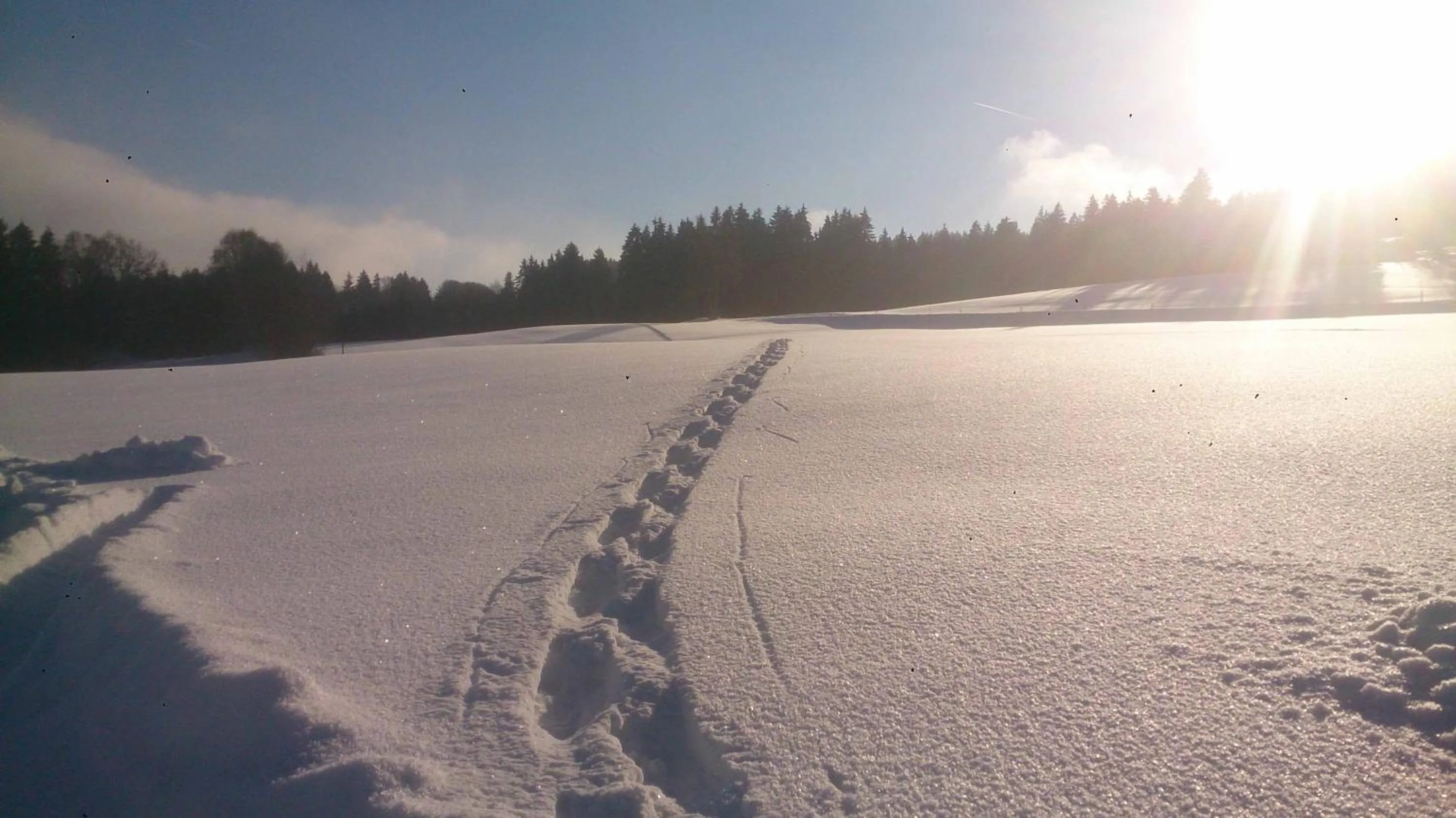 Natural landscape in Hotel Hirschenstein