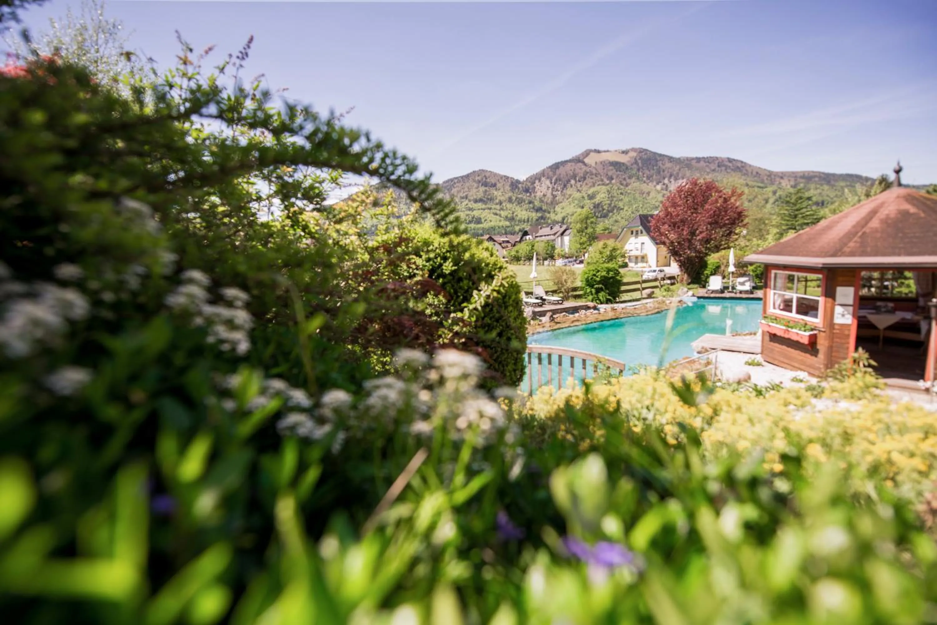 Garden in Garni Haus Sonnleitn - Adults only