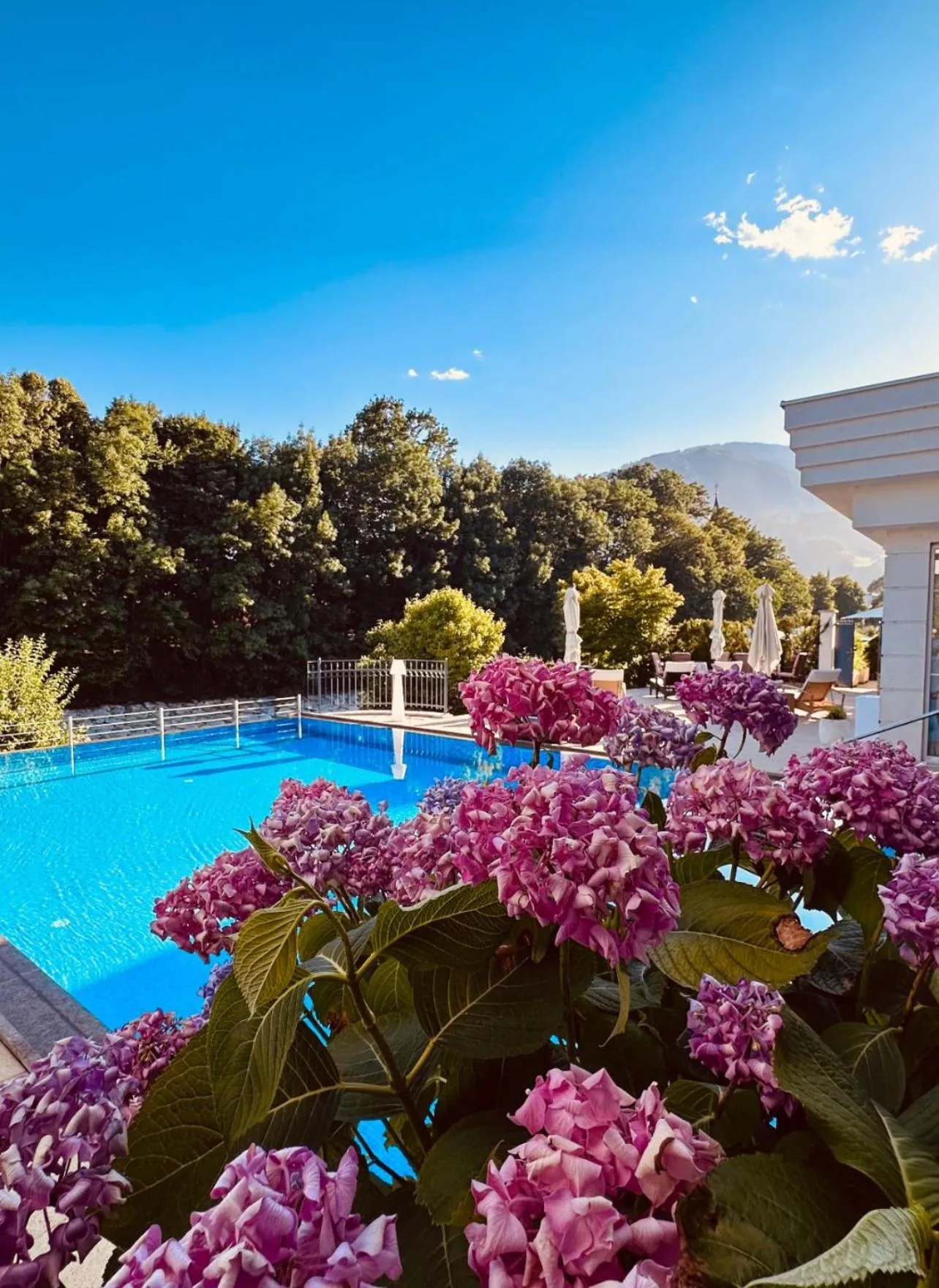 Garden in Grandhotel Lienz Business-Wellness & Gourmet