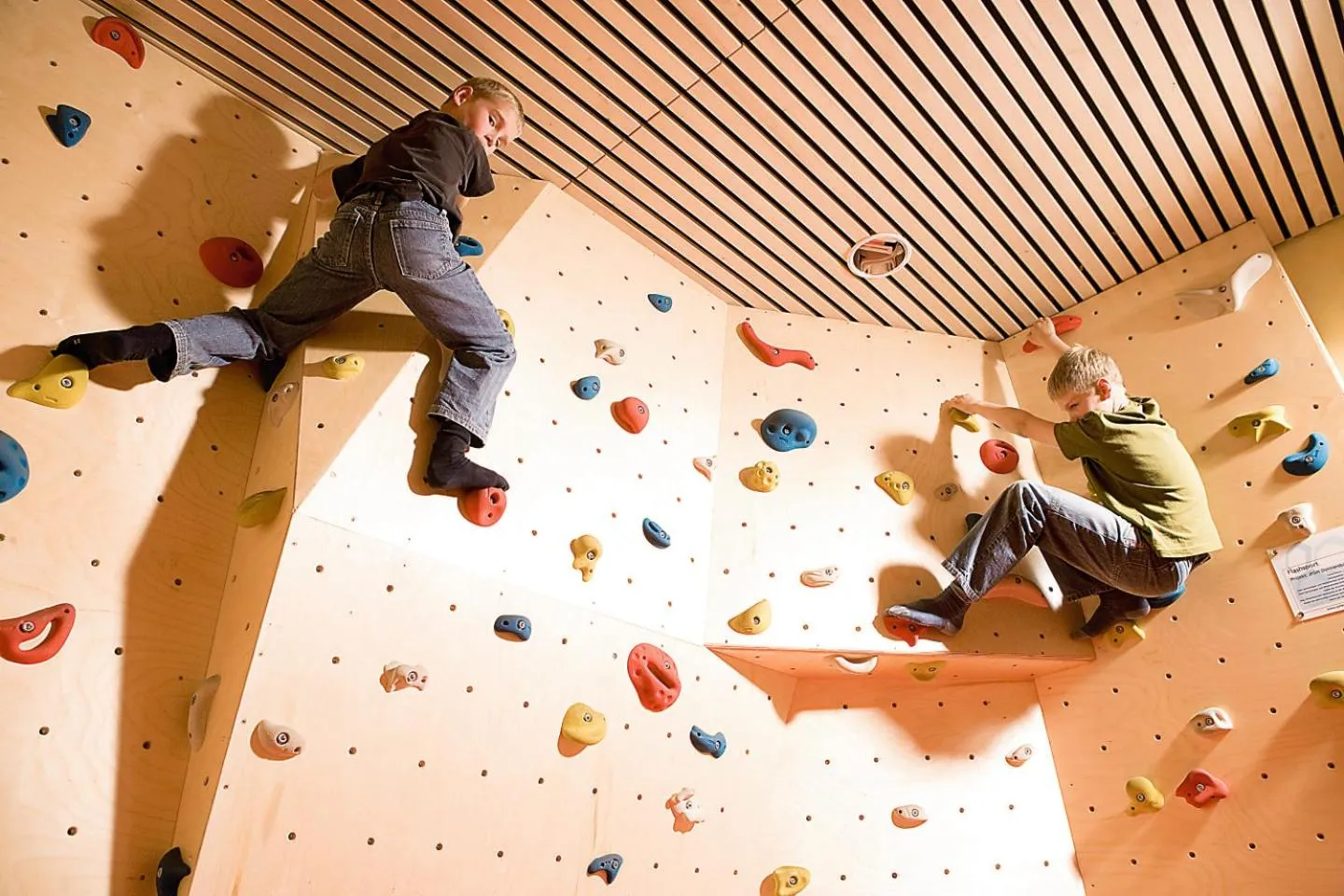 Activities in JUFA Hotel Donnersbachwald