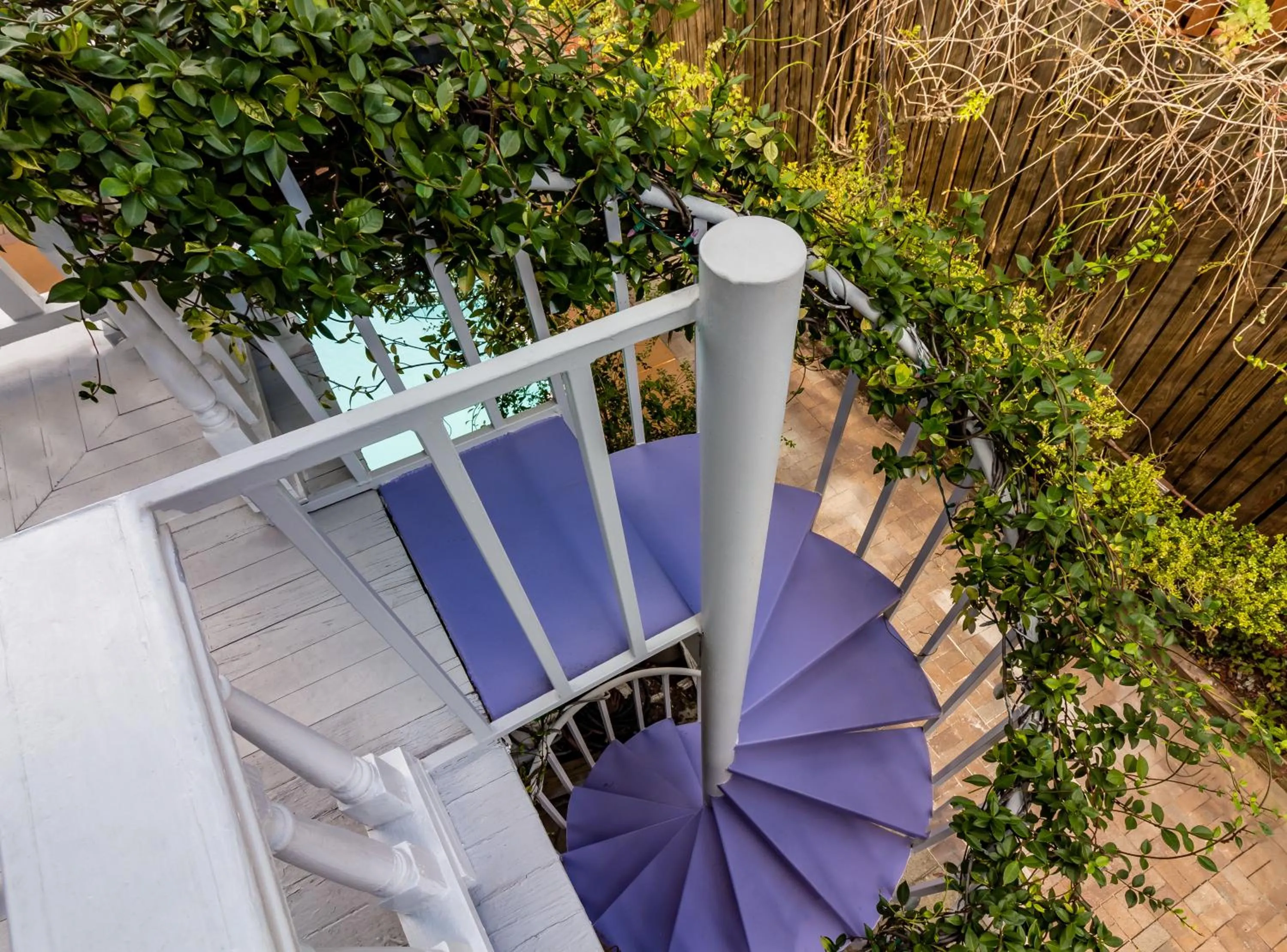 Other in Amethyst Garden