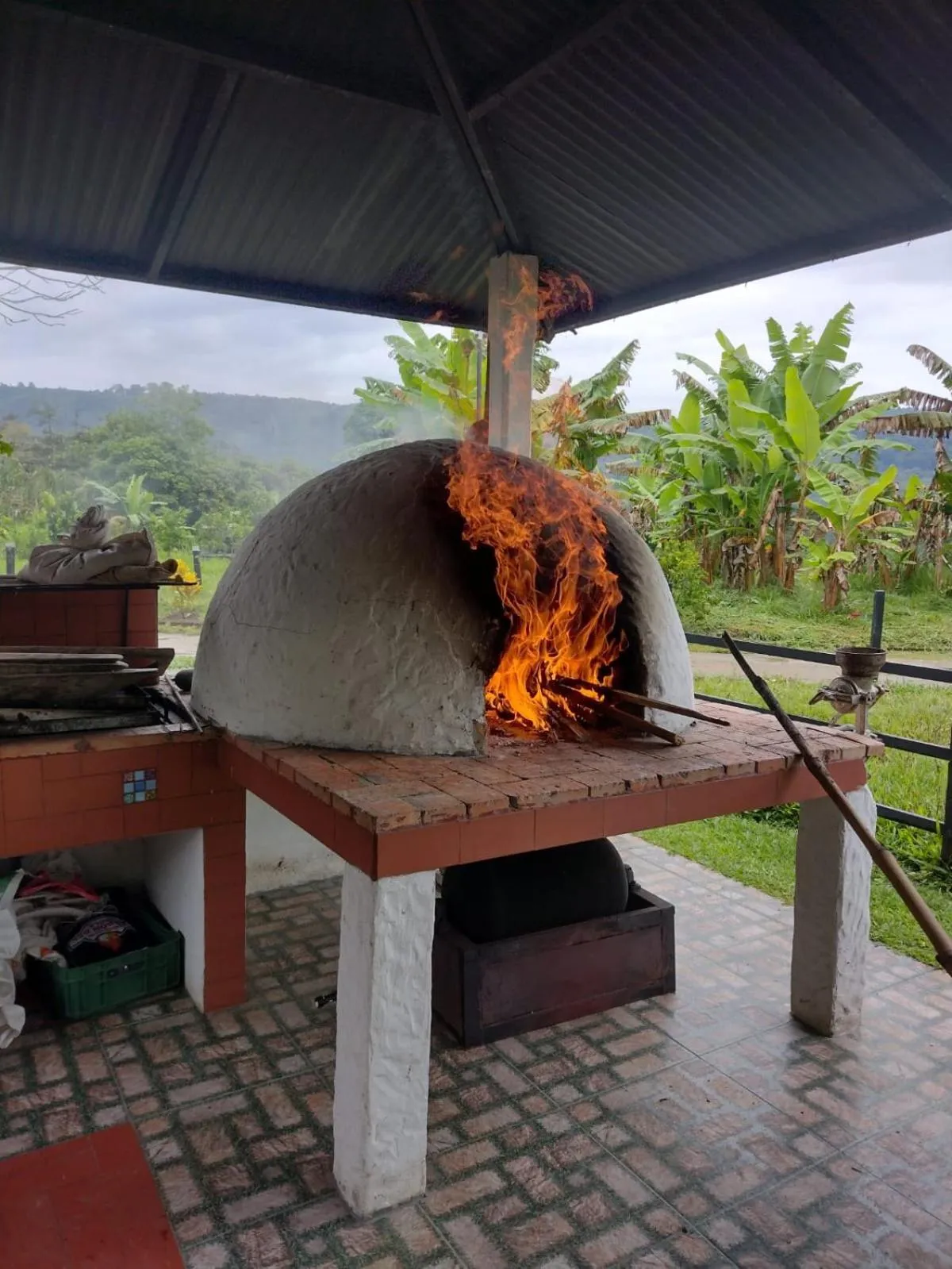 BBQ facilities in Hotel Campestre El Triunfo