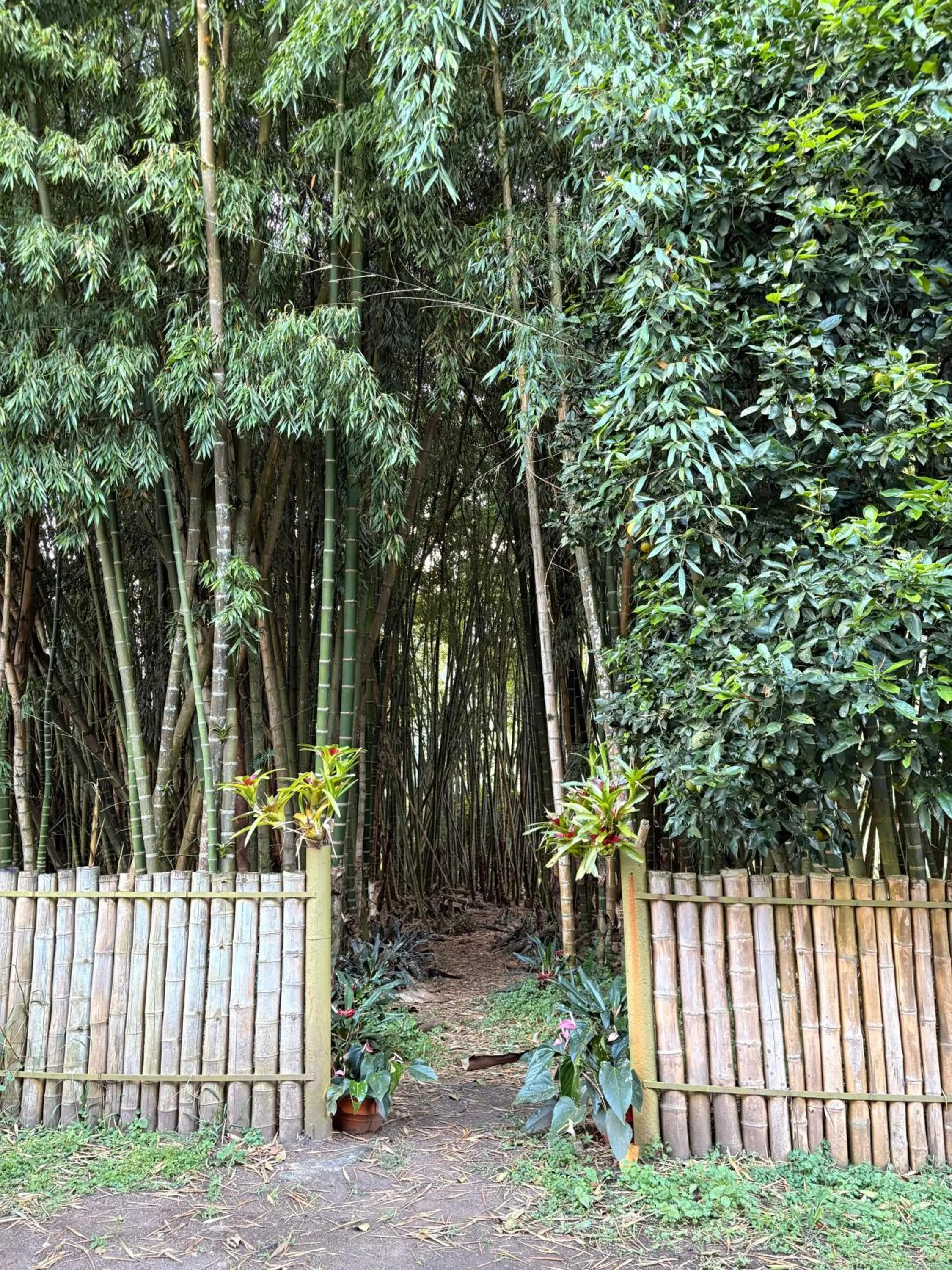 Natural landscape in Hotel Campestre El Triunfo