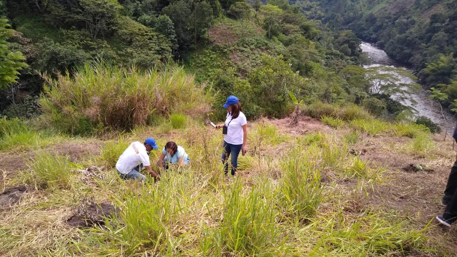 Natural landscape in Hotel Campestre El Triunfo