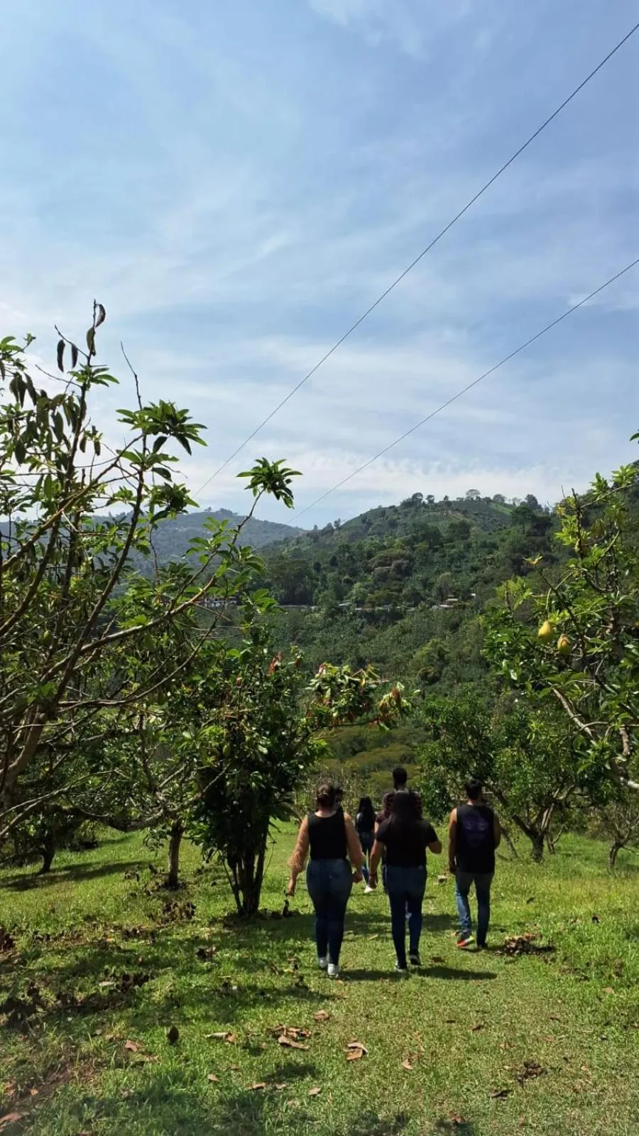 Hiking in Hotel Campestre El Triunfo