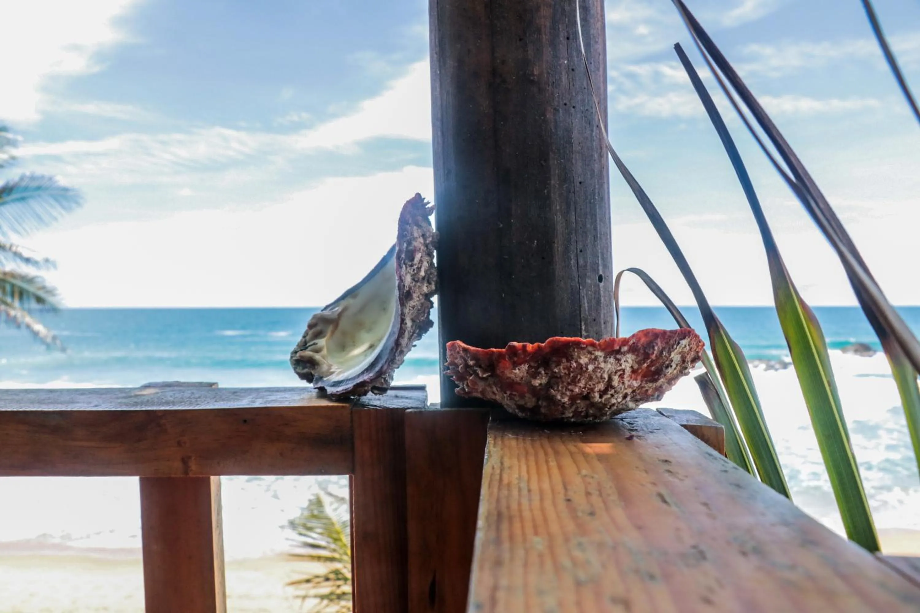 Decorative detail in Cafe Maya - Casa Acalli