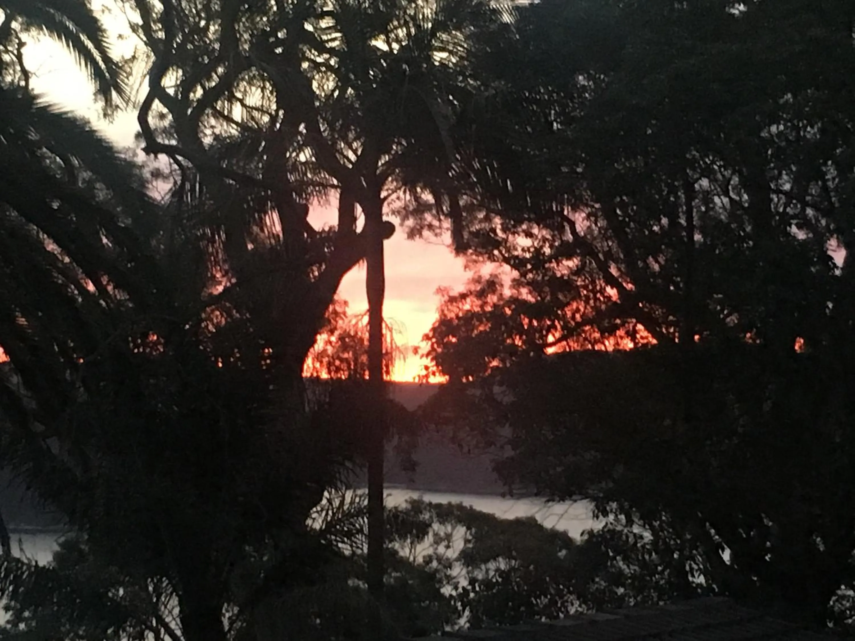 View (from property/room) in Palm Beach Bed & Breakfast