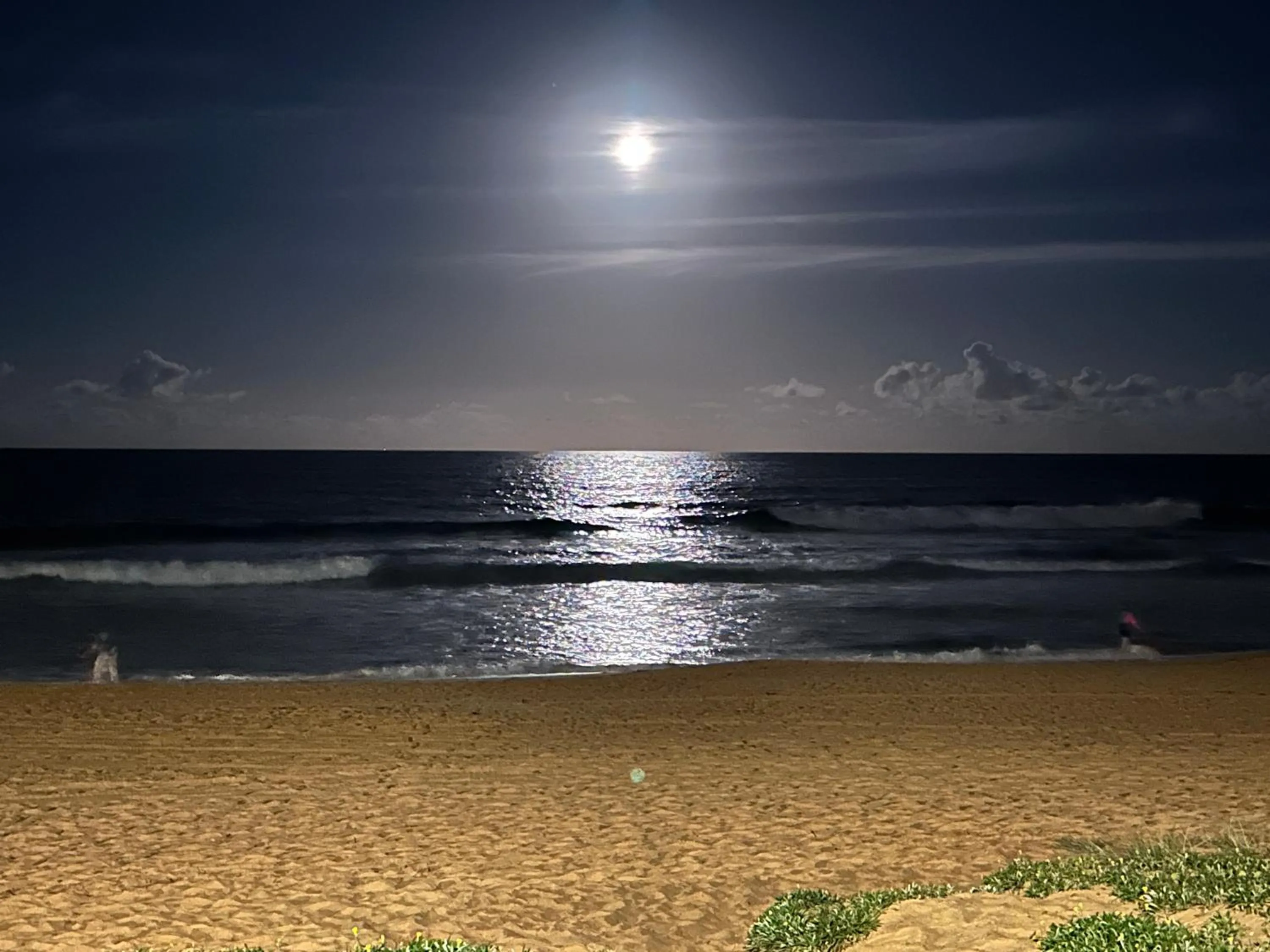 Night in Palm Beach Bed & Breakfast