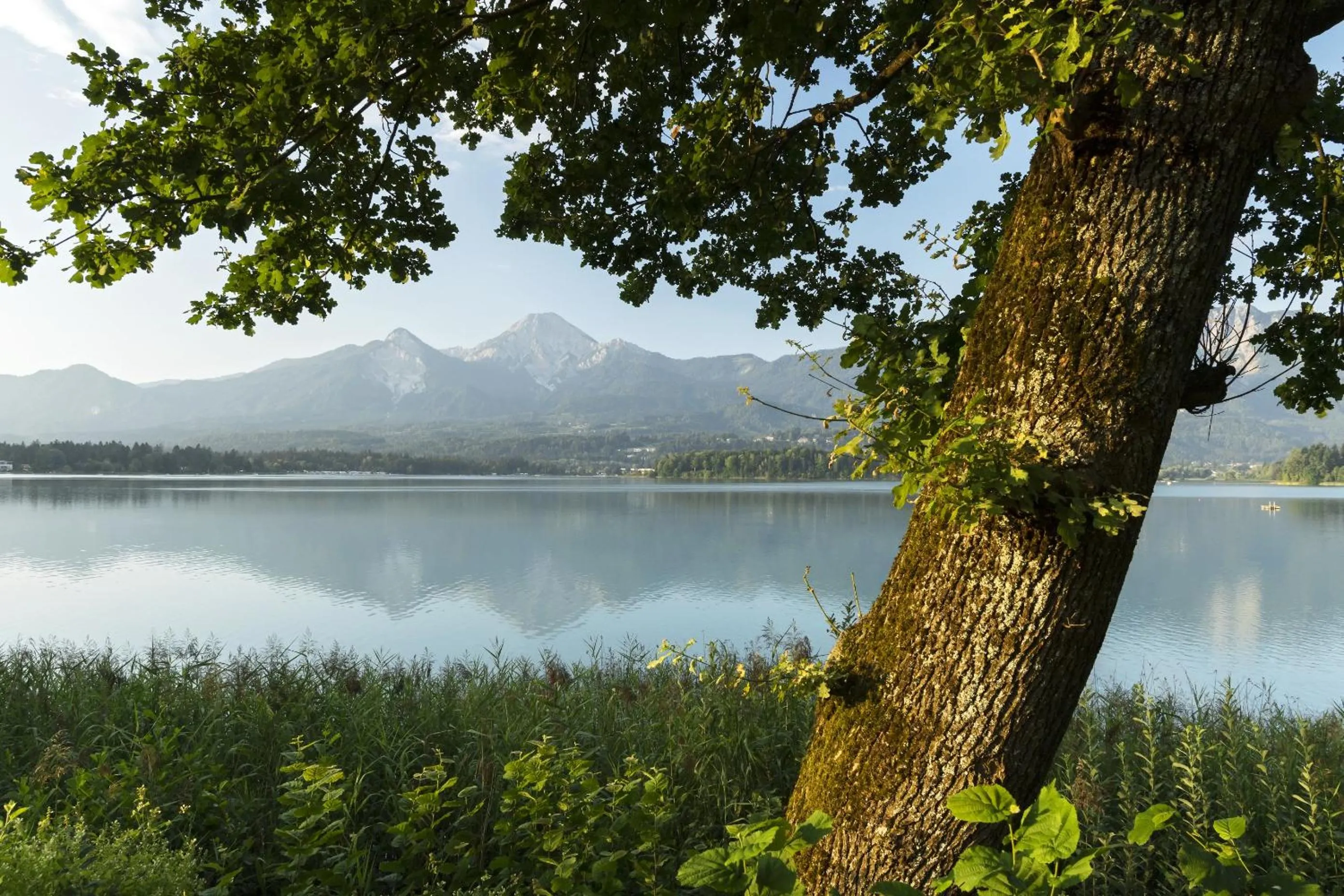 Natural landscape in Hotel Karnerhof