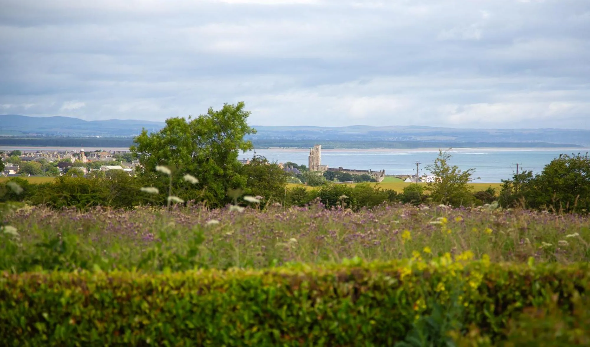 Balmungo Cottage B&B