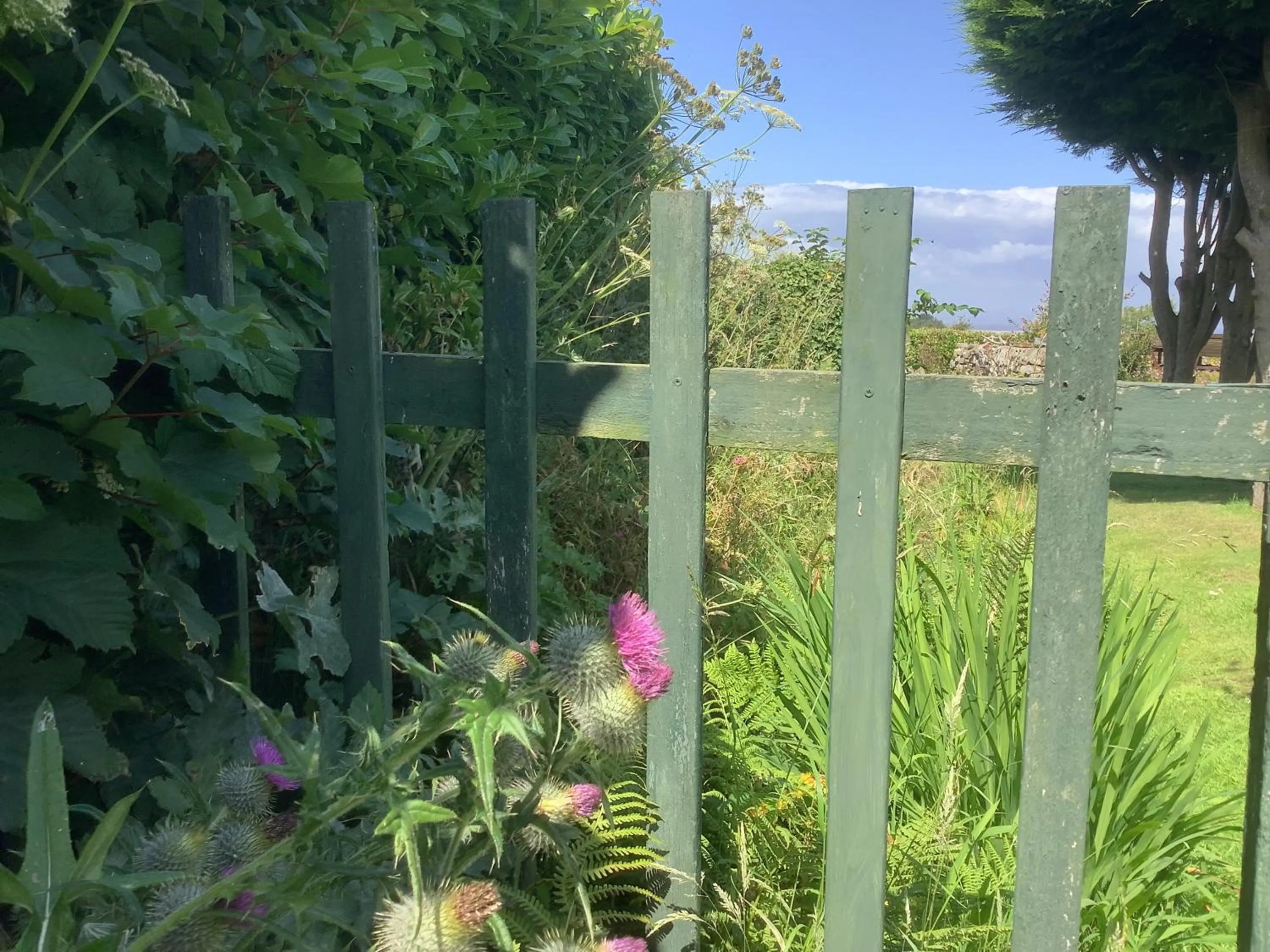 Balmungo Cottage B&B