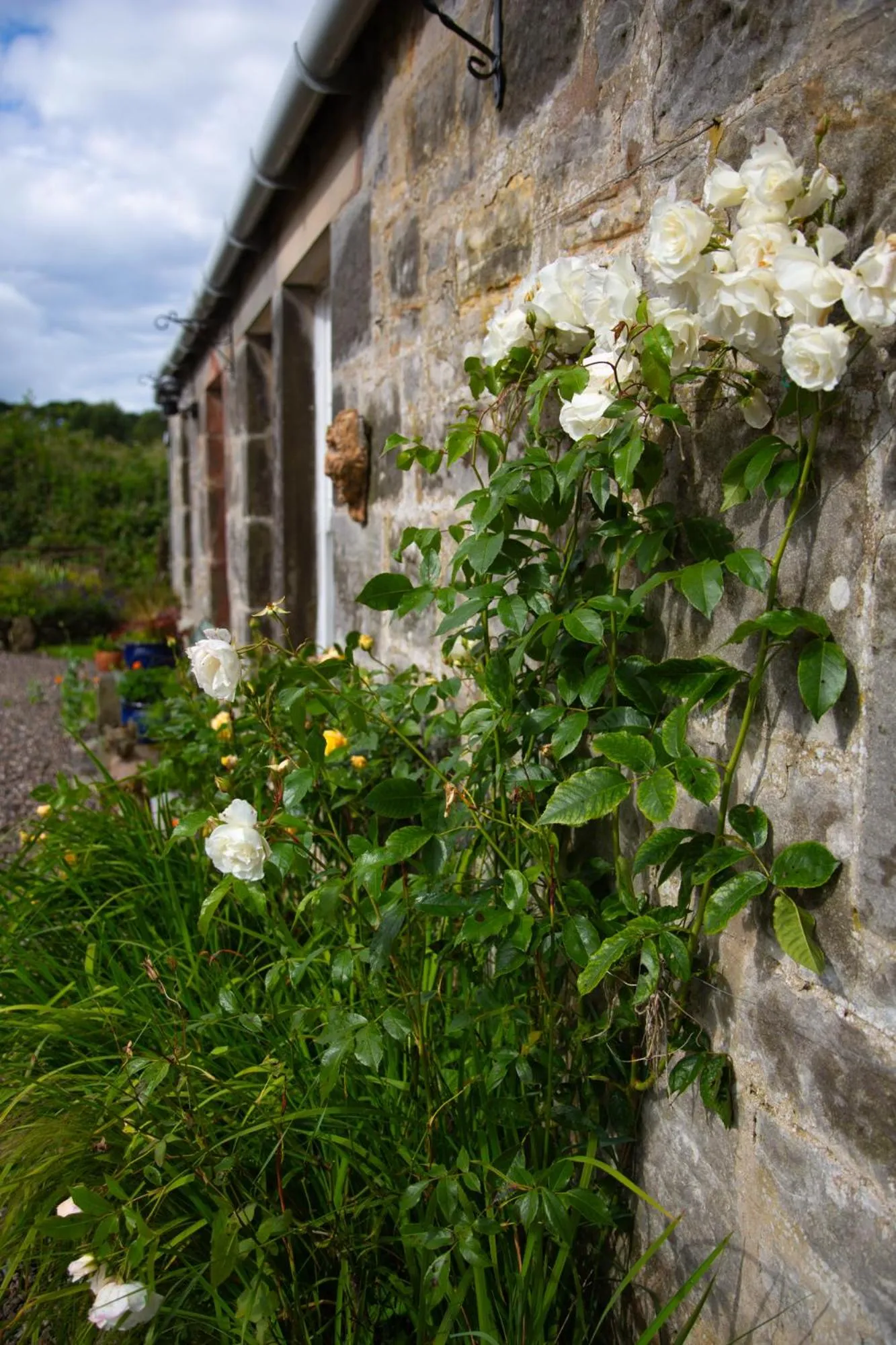 Balmungo Cottage B&B