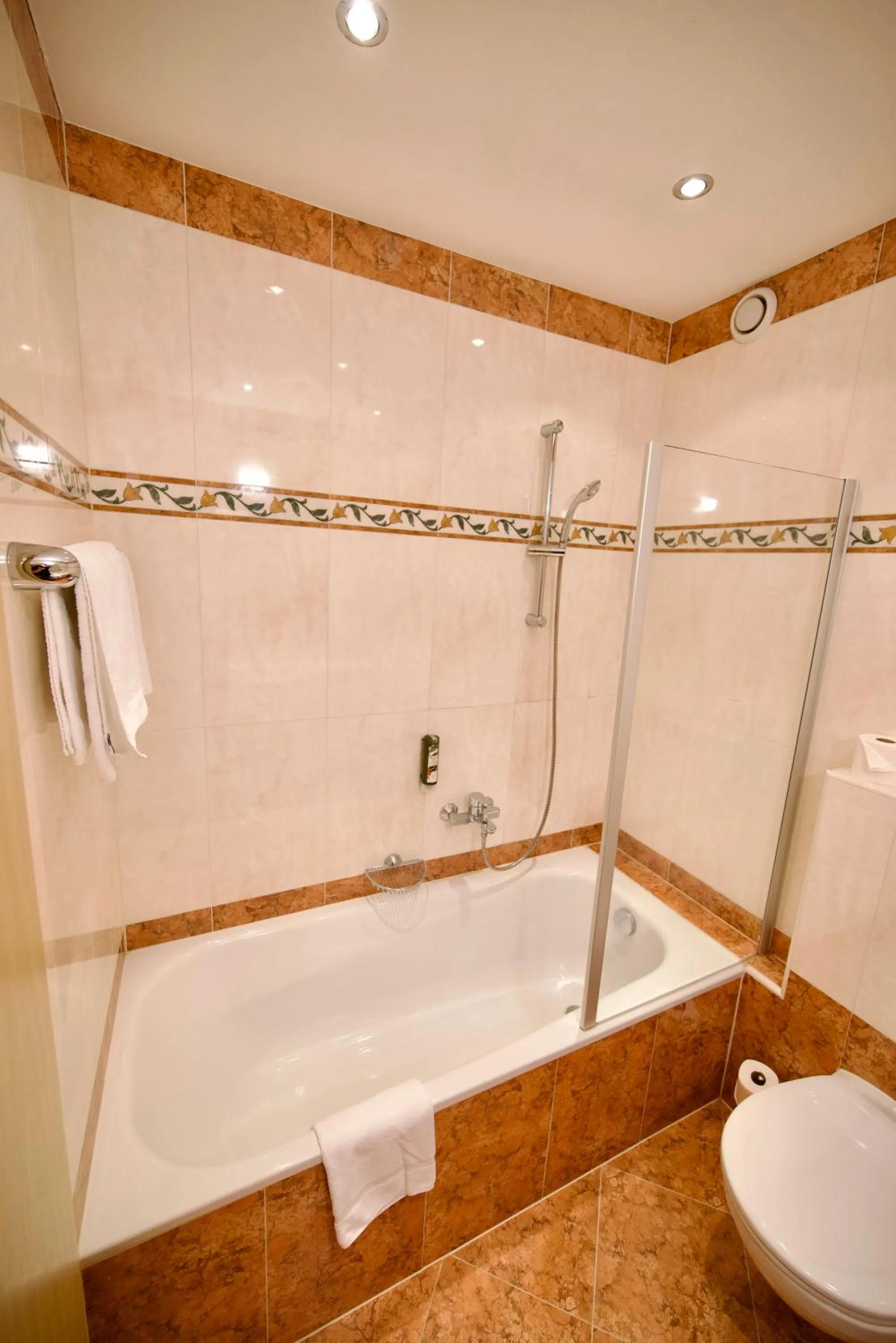 Bath in Hotel St. Georg