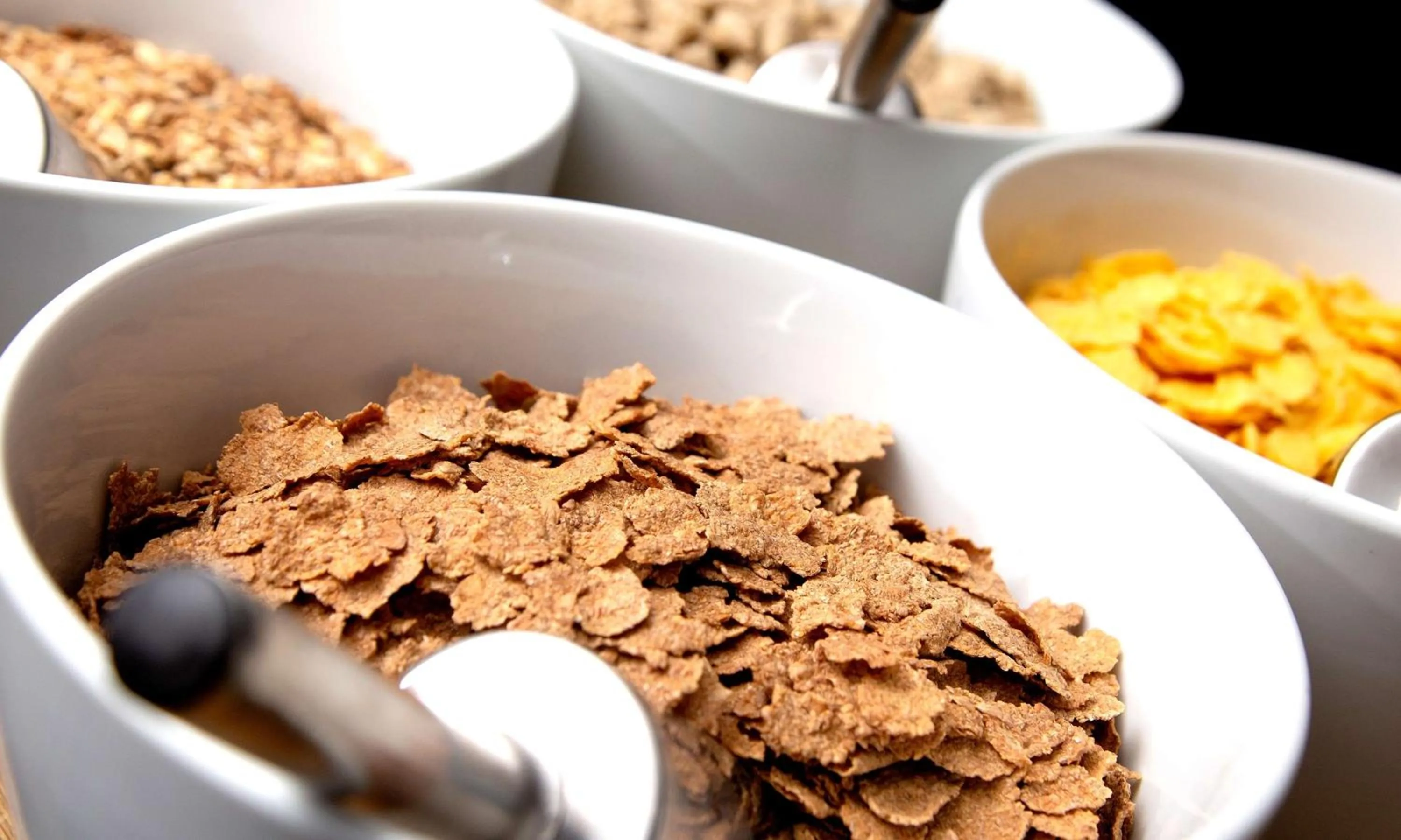 Restaurant/places to eat in Sure Hotel by Best Western Algen