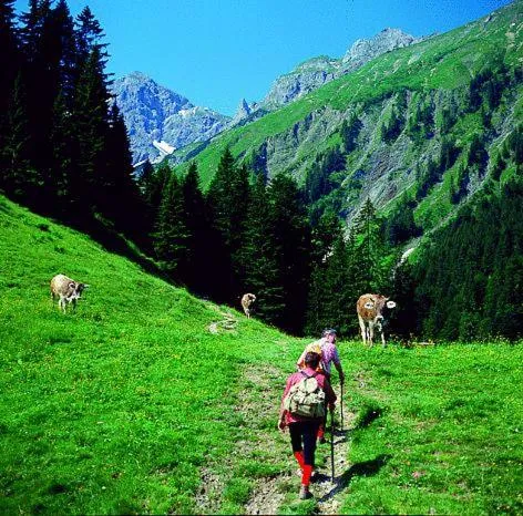 Day in Sporthotel Krone