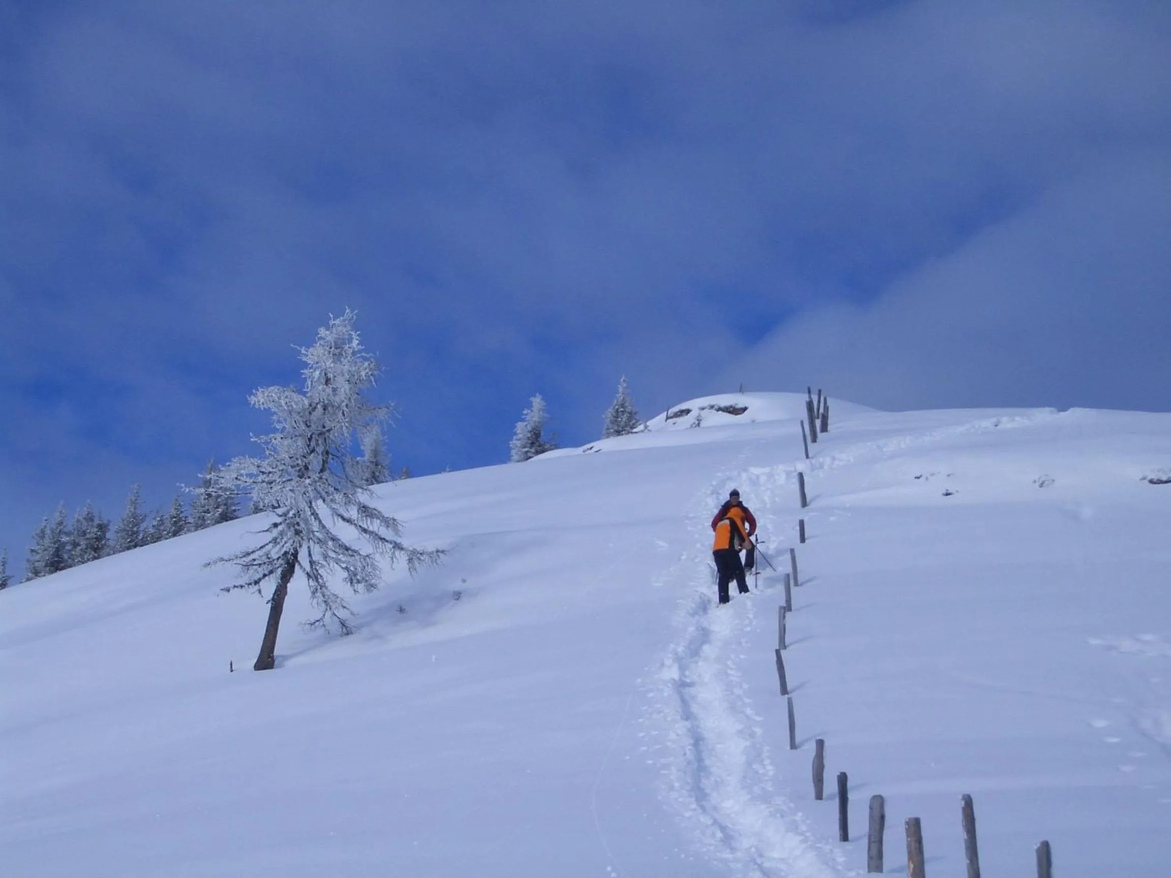 Natural landscape in Hotel Guggenberger