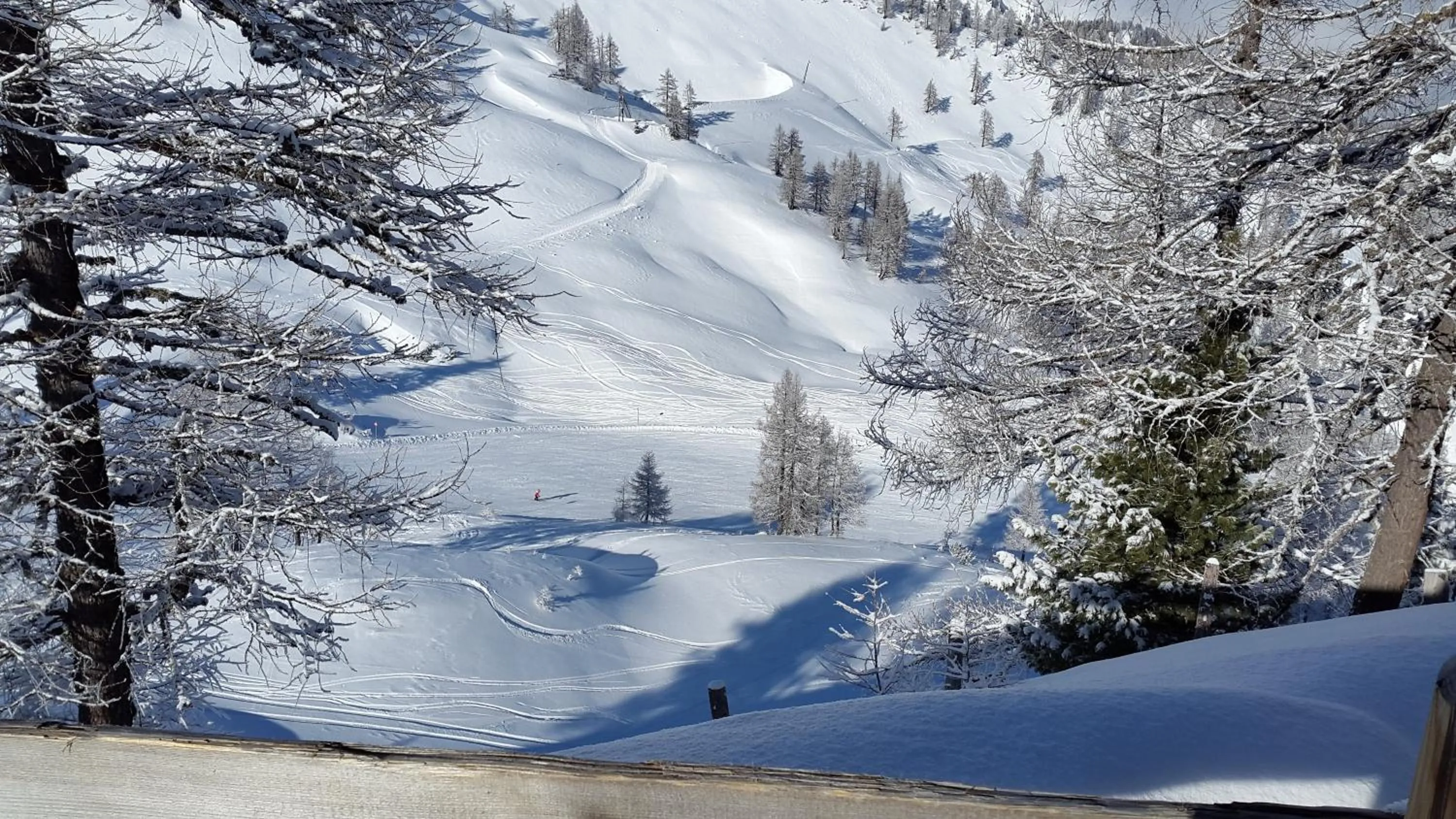 Natural landscape in Hotel Guggenberger