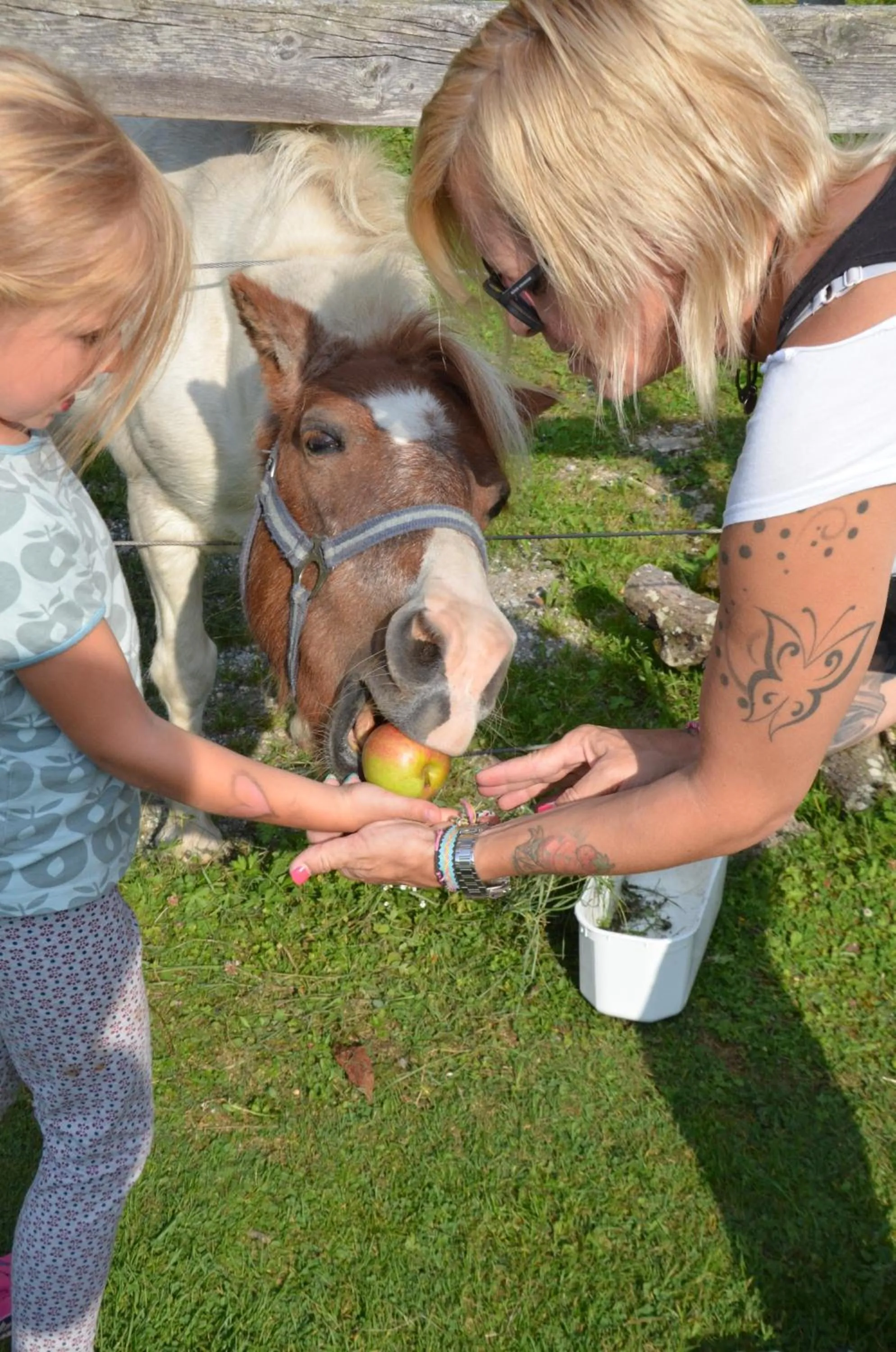 Spring in Hotel Guggenberger