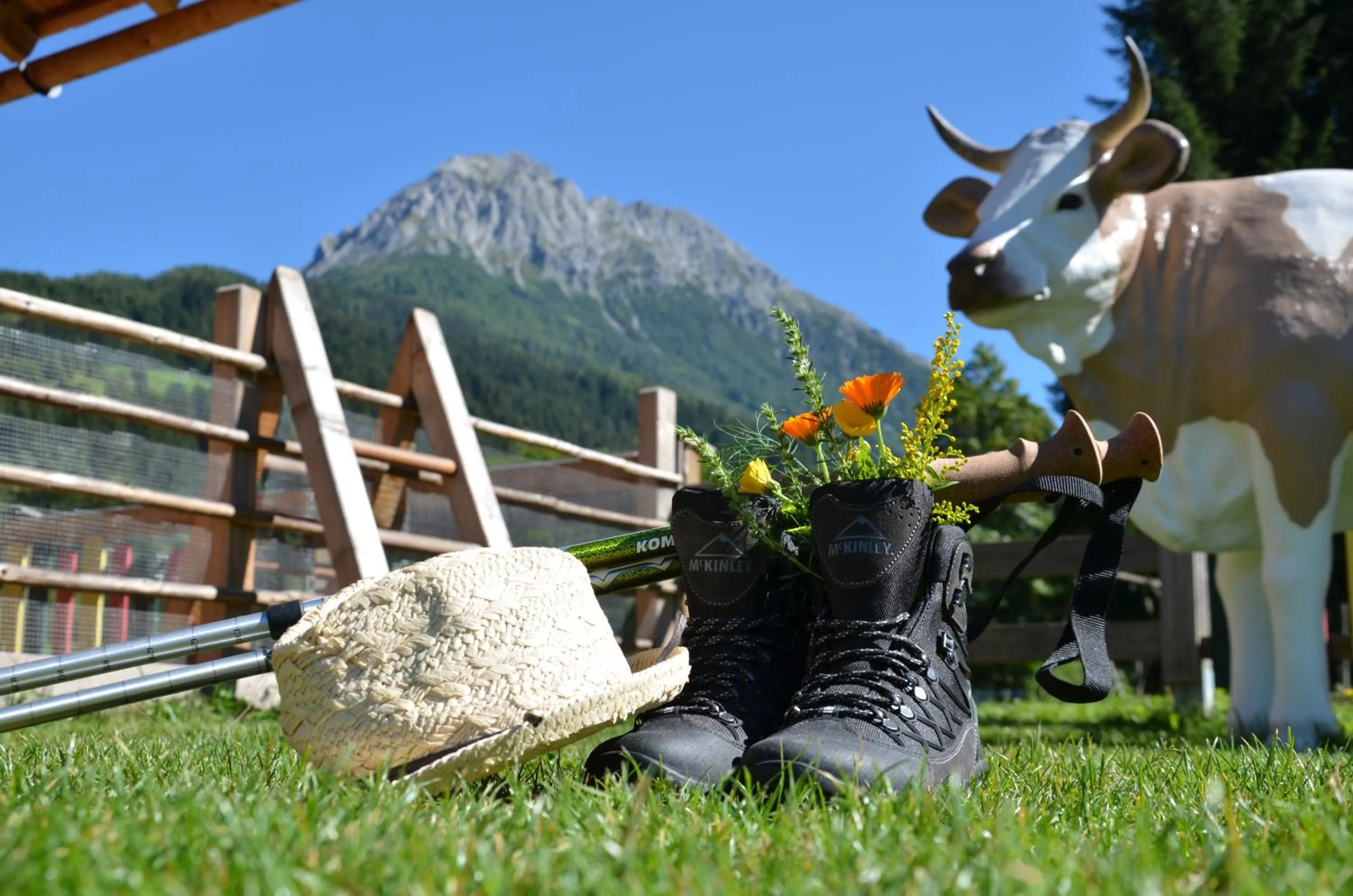 Summer in Hotel Guggenberger