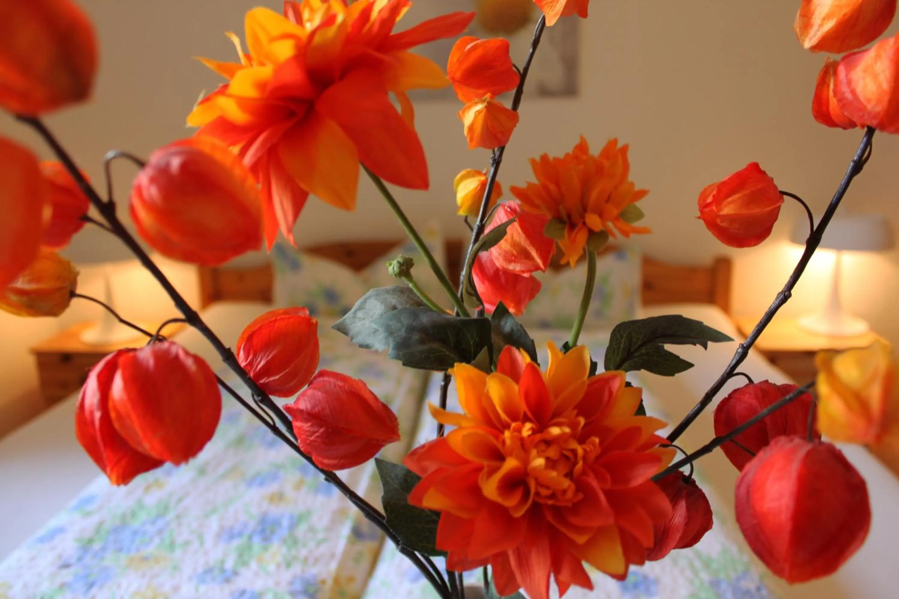 Other in Pension Stoi budget guesthouse