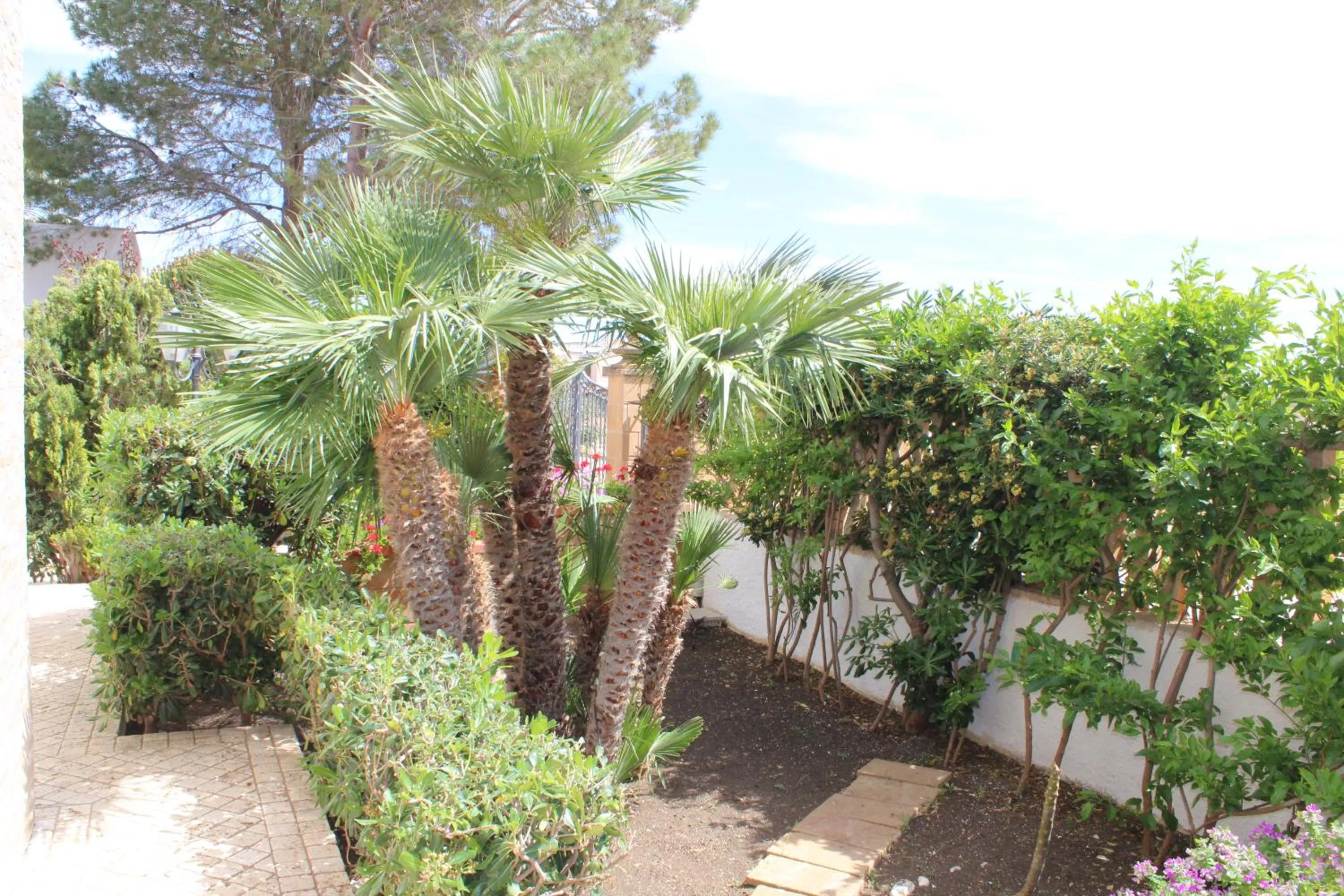 Garden in B&B Villa Bea