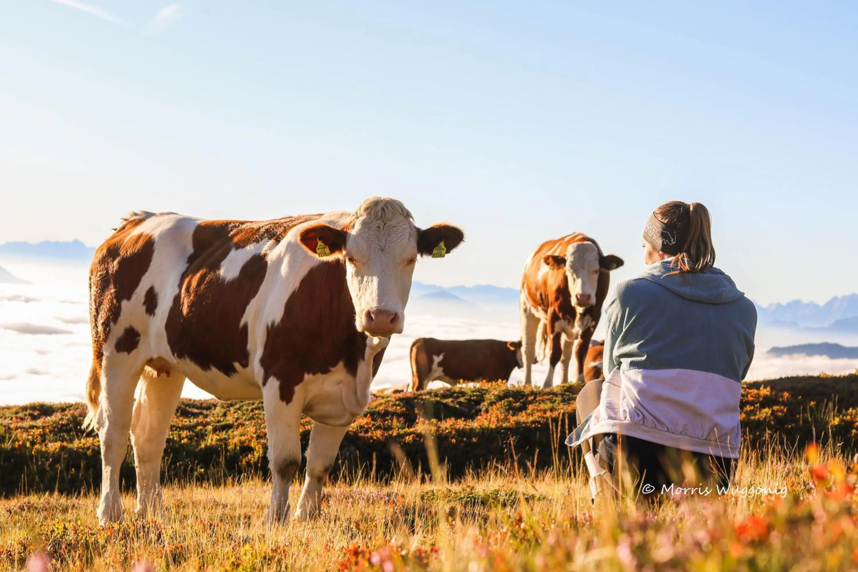 Day in Hotel Glocknerhof