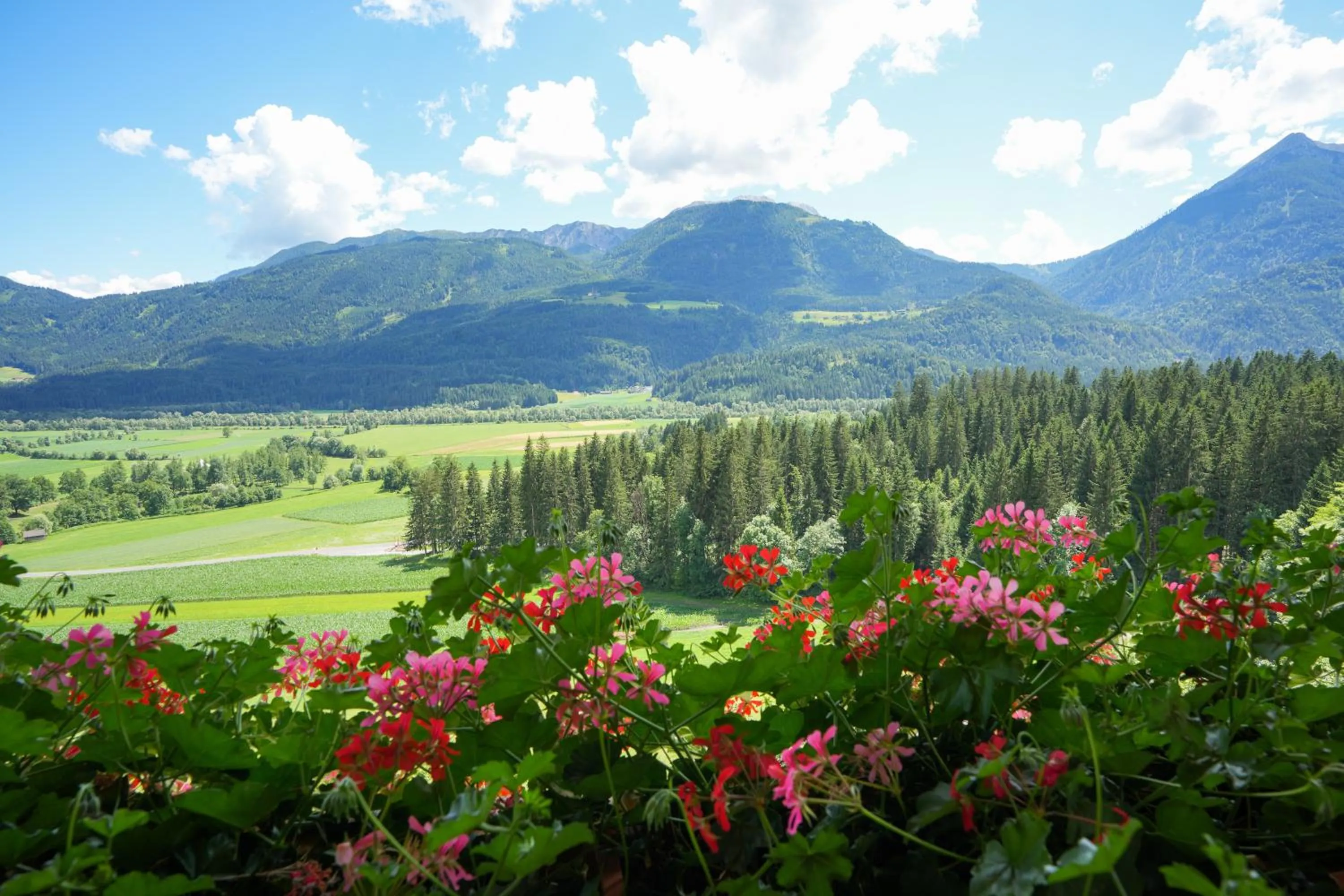 Natural landscape in Hotel Glocknerhof
