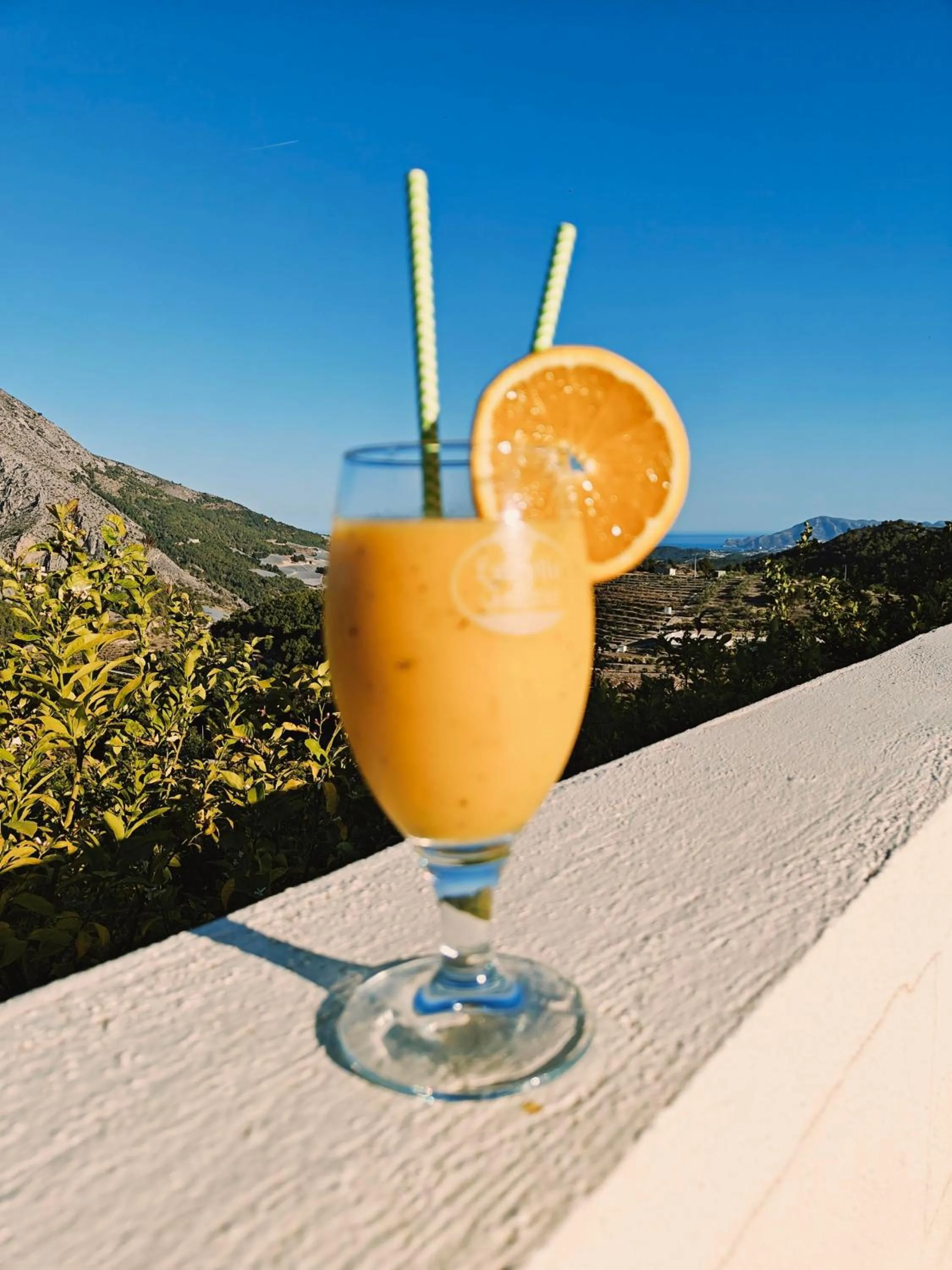 Food and drinks in Finca Oliva