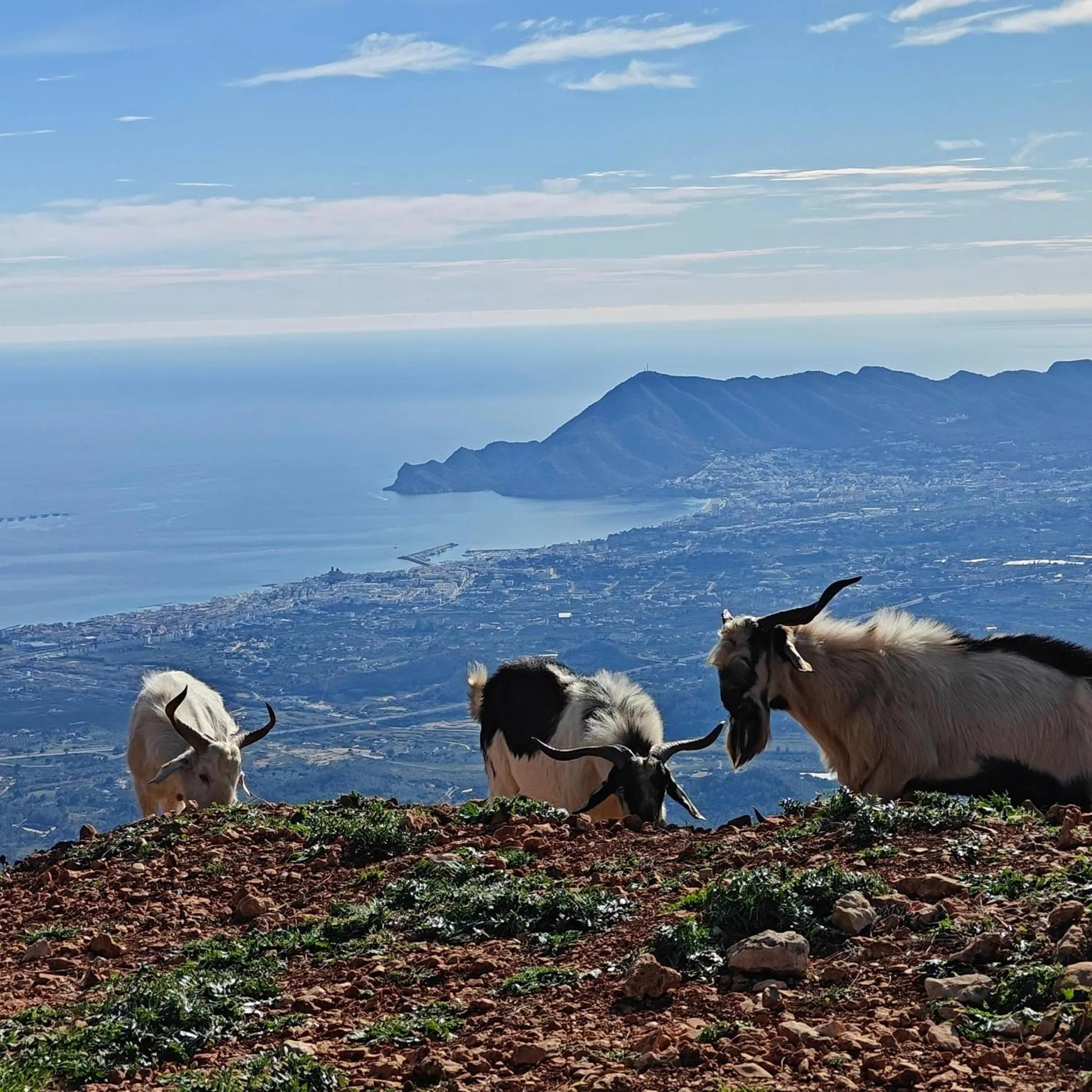 Other in Finca Oliva