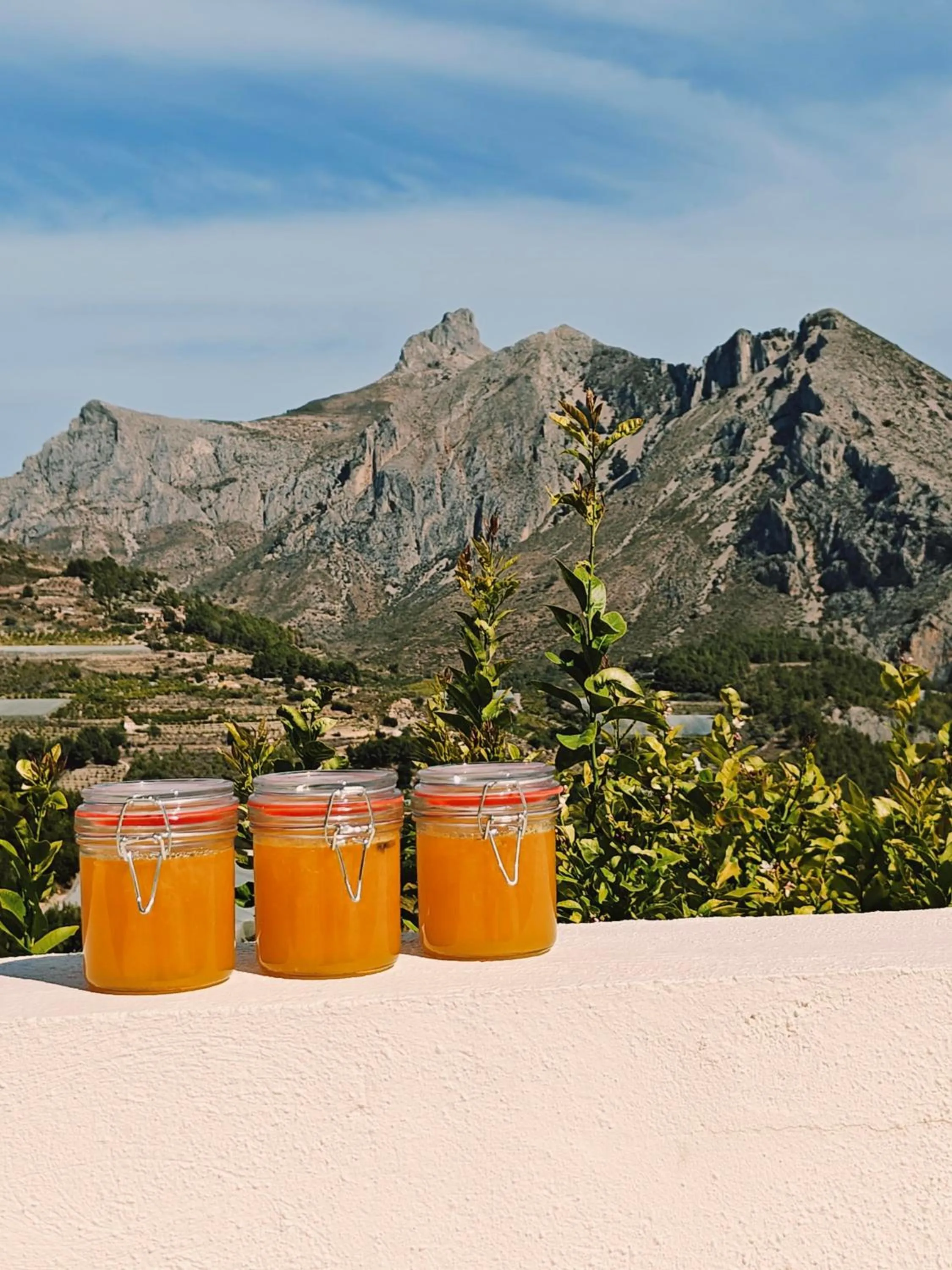 Food and drinks in Finca Oliva