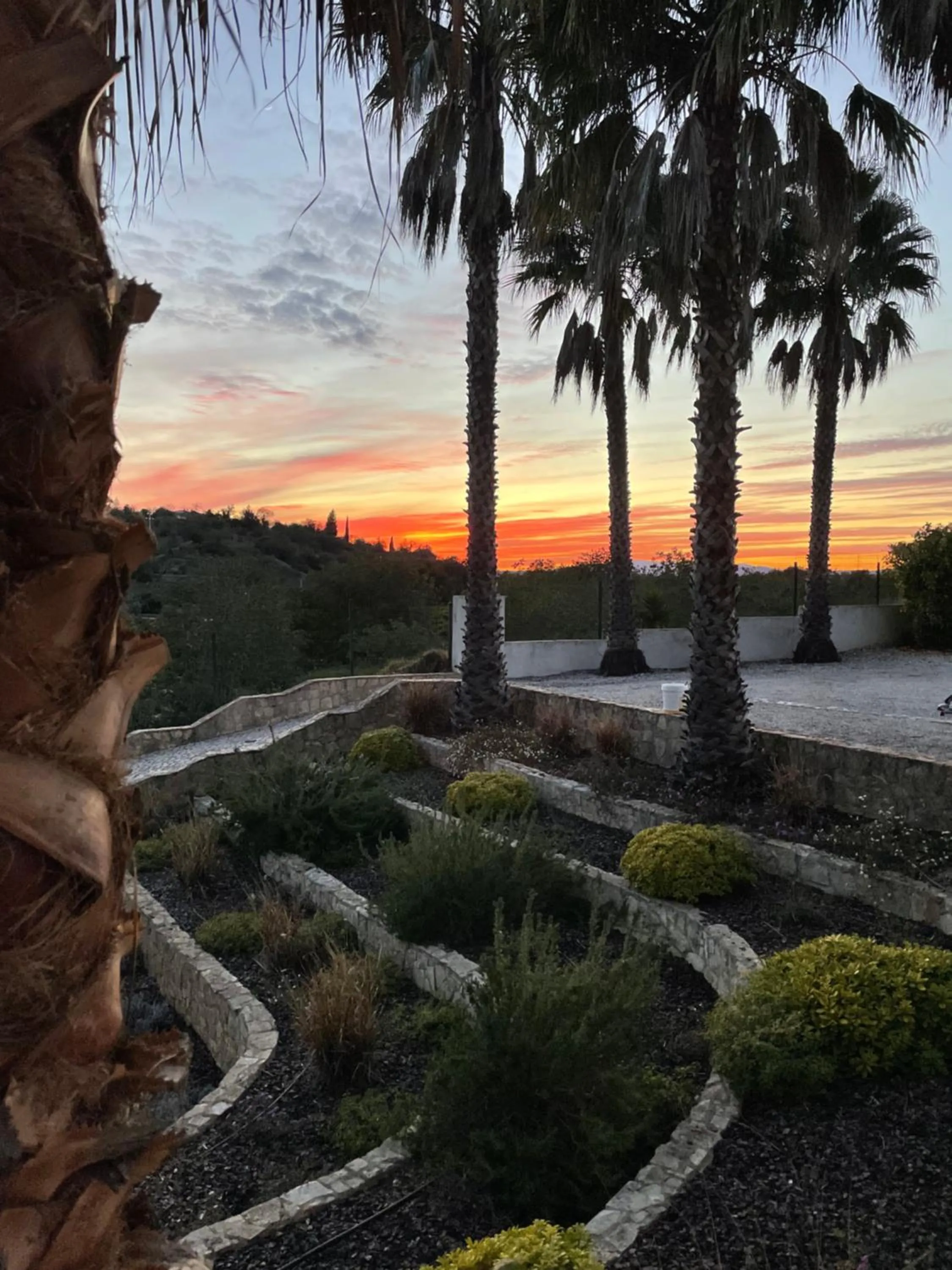 Restaurant/places to eat in B&B Entrecolinas