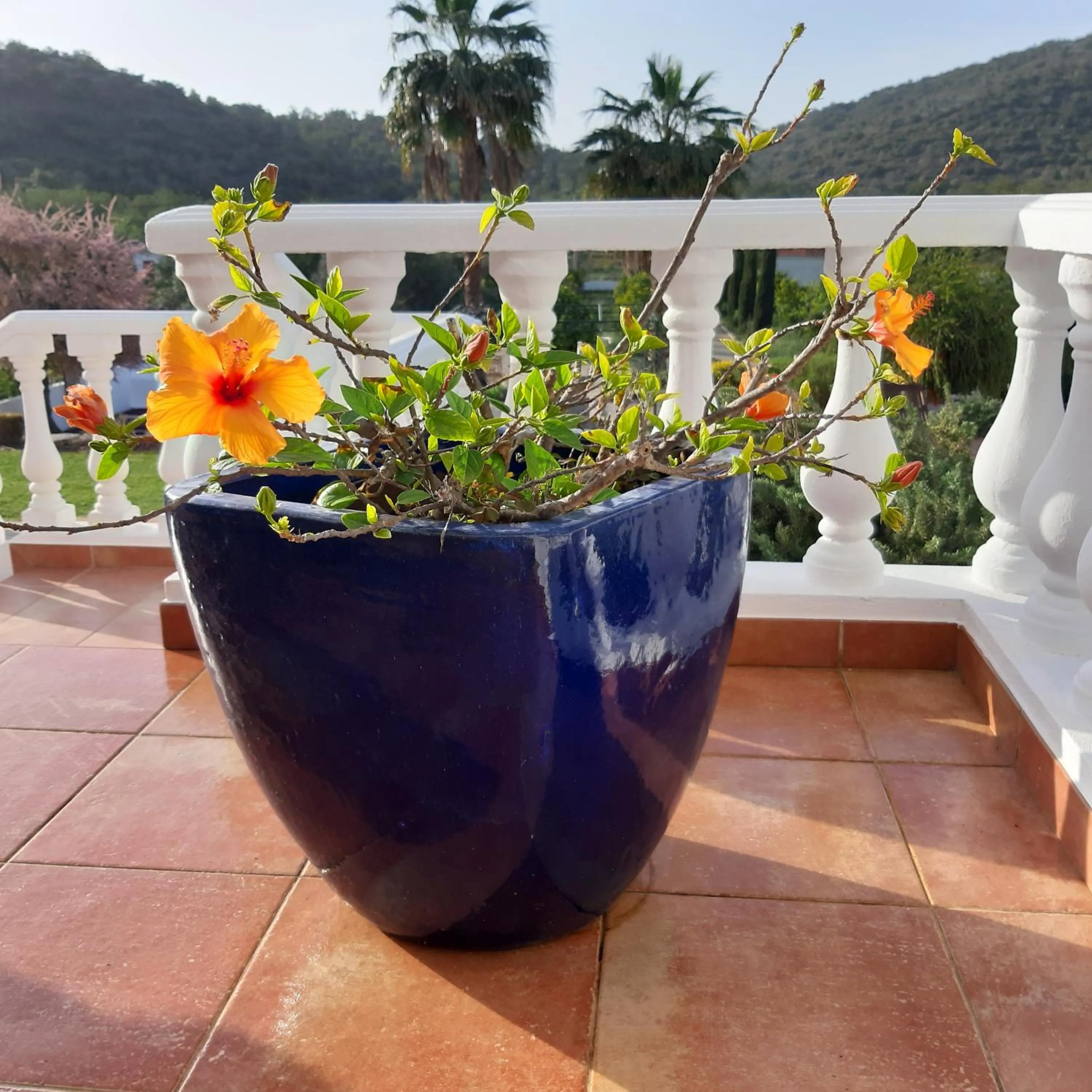 Natural landscape in B&B Entrecolinas