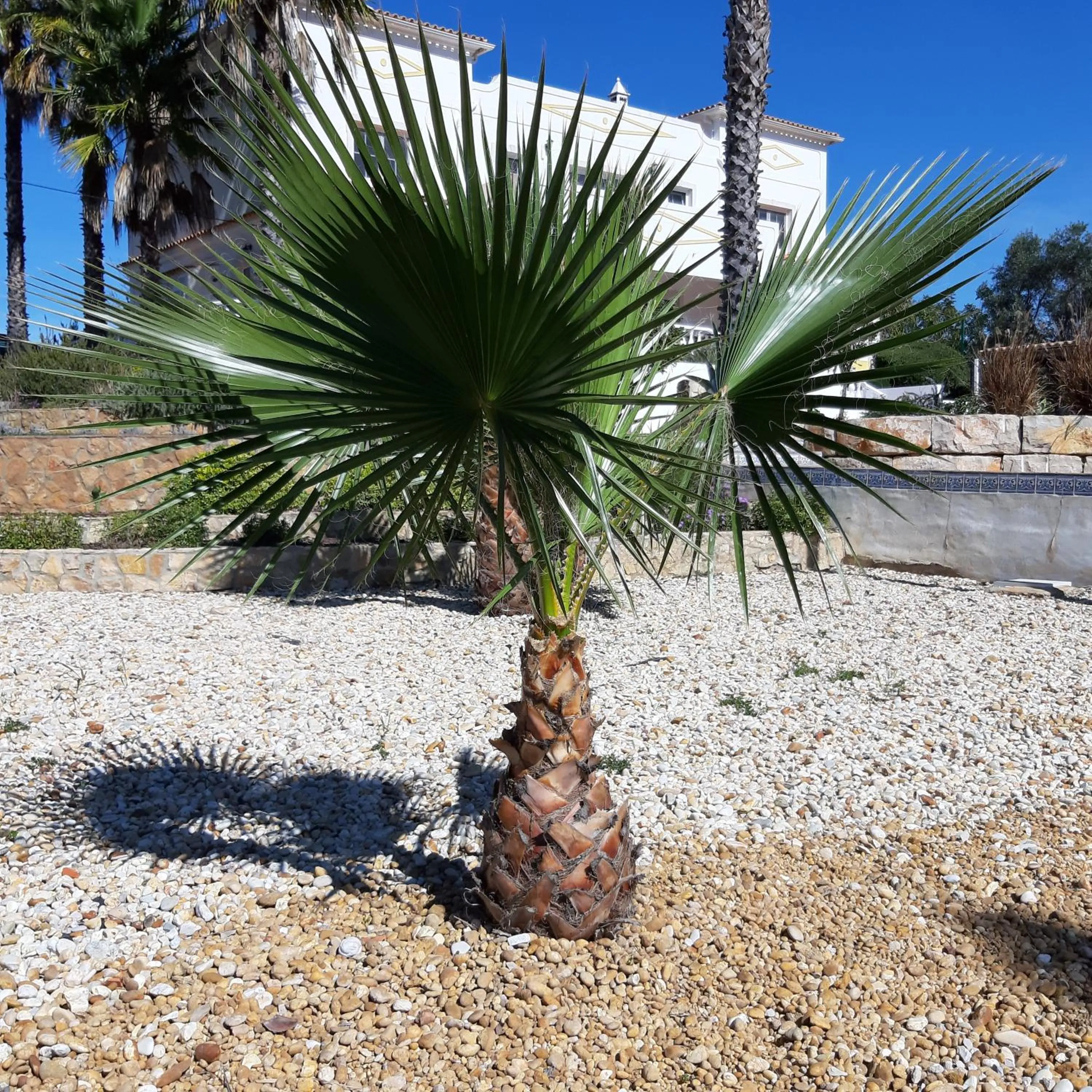 Garden in B&B Entrecolinas