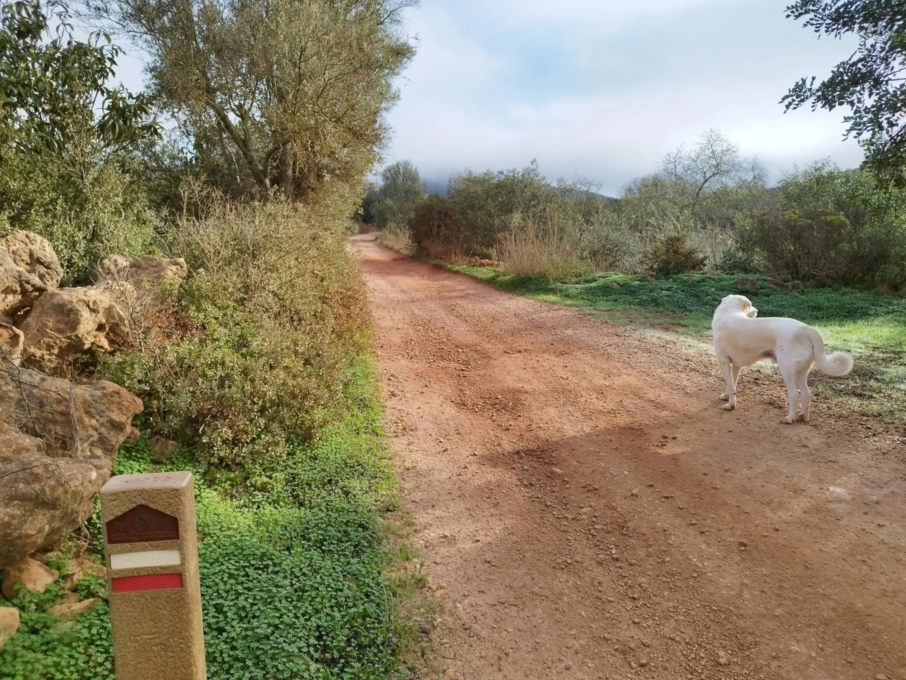 Hiking in B&B Entrecolinas