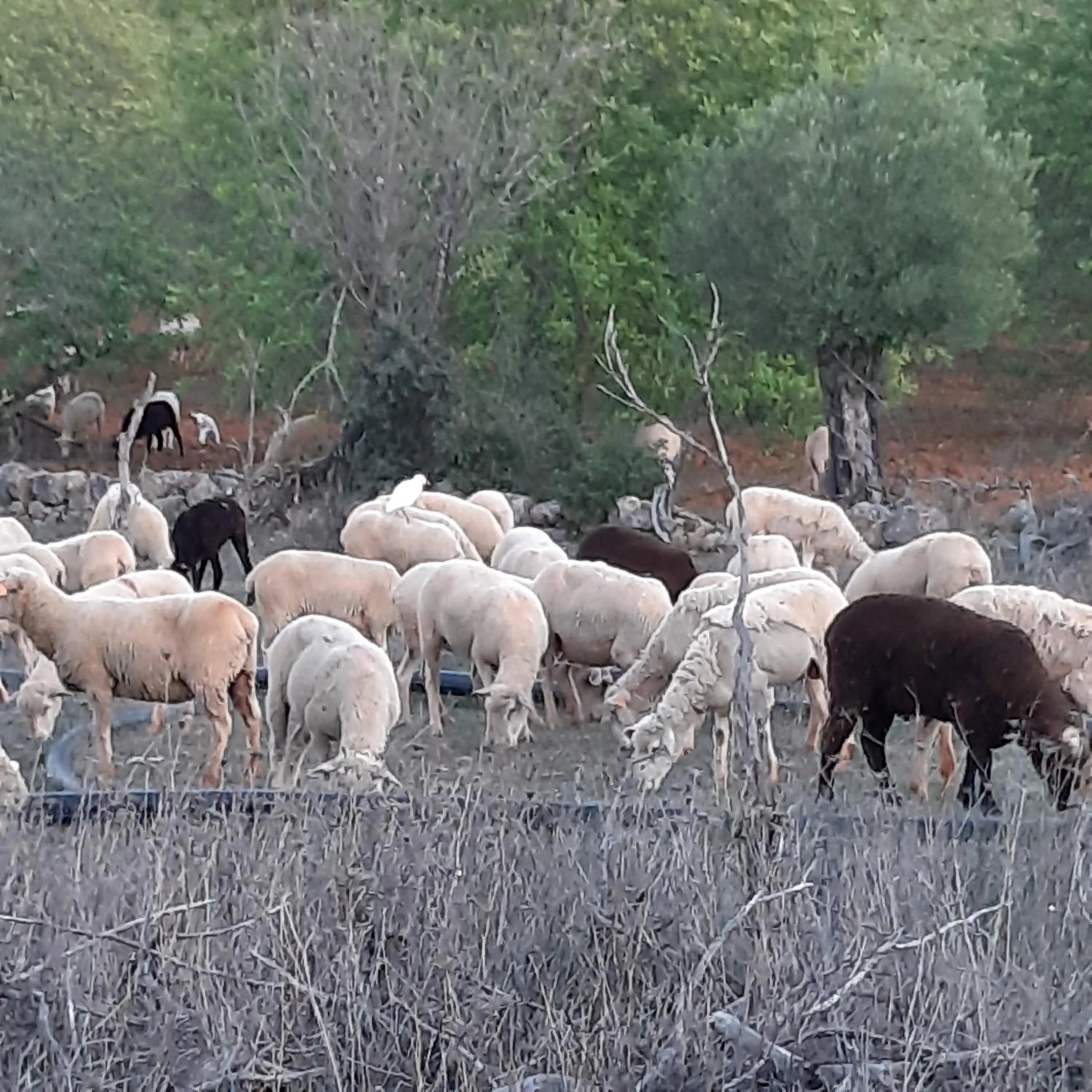 Other in B&B Entrecolinas