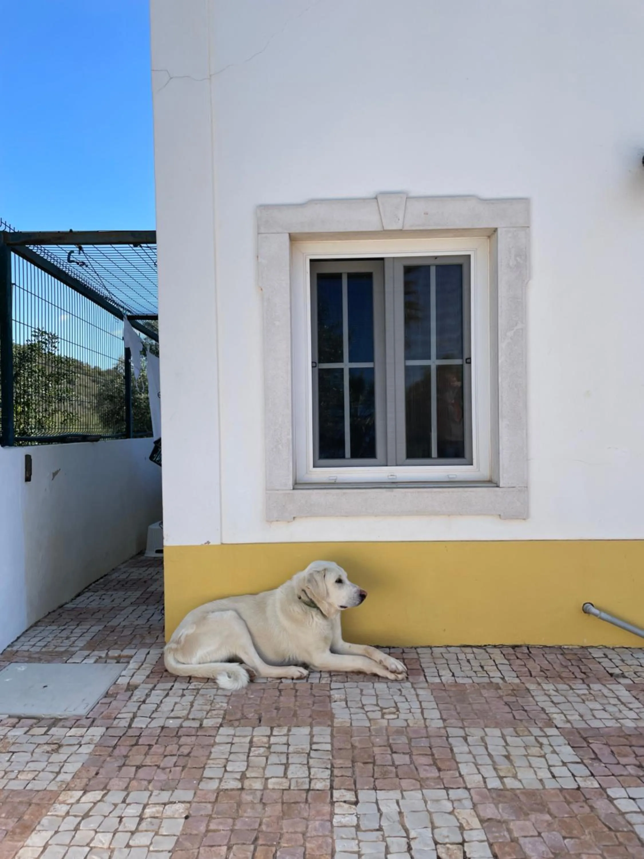 Patio in B&B Entrecolinas