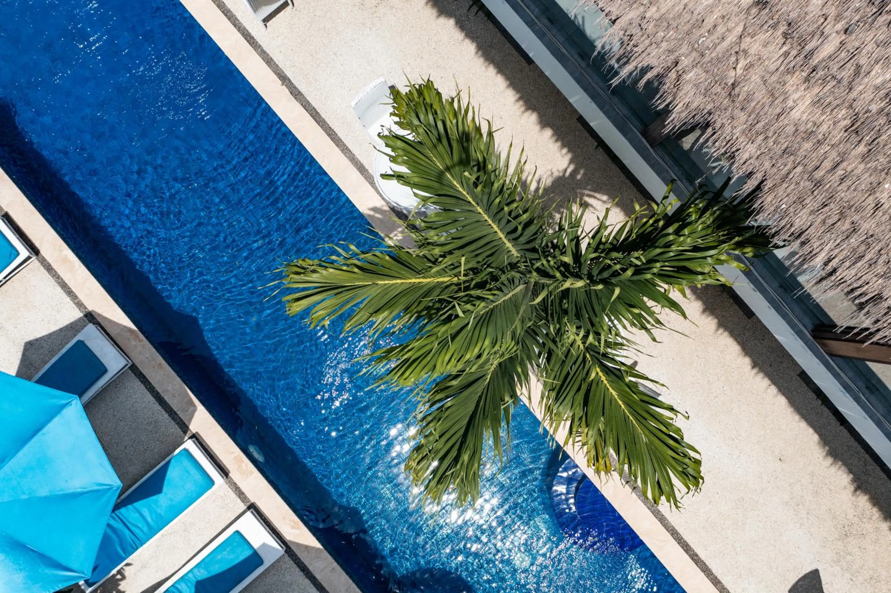 Day in Trawangan Nirvana