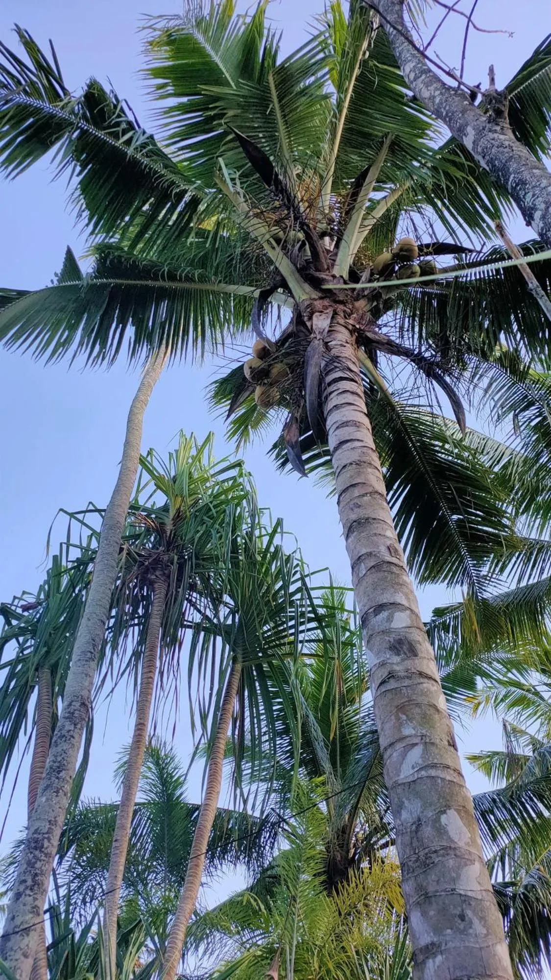 View (from property/room) in Tiki Boutique Hotel Spa Lombok