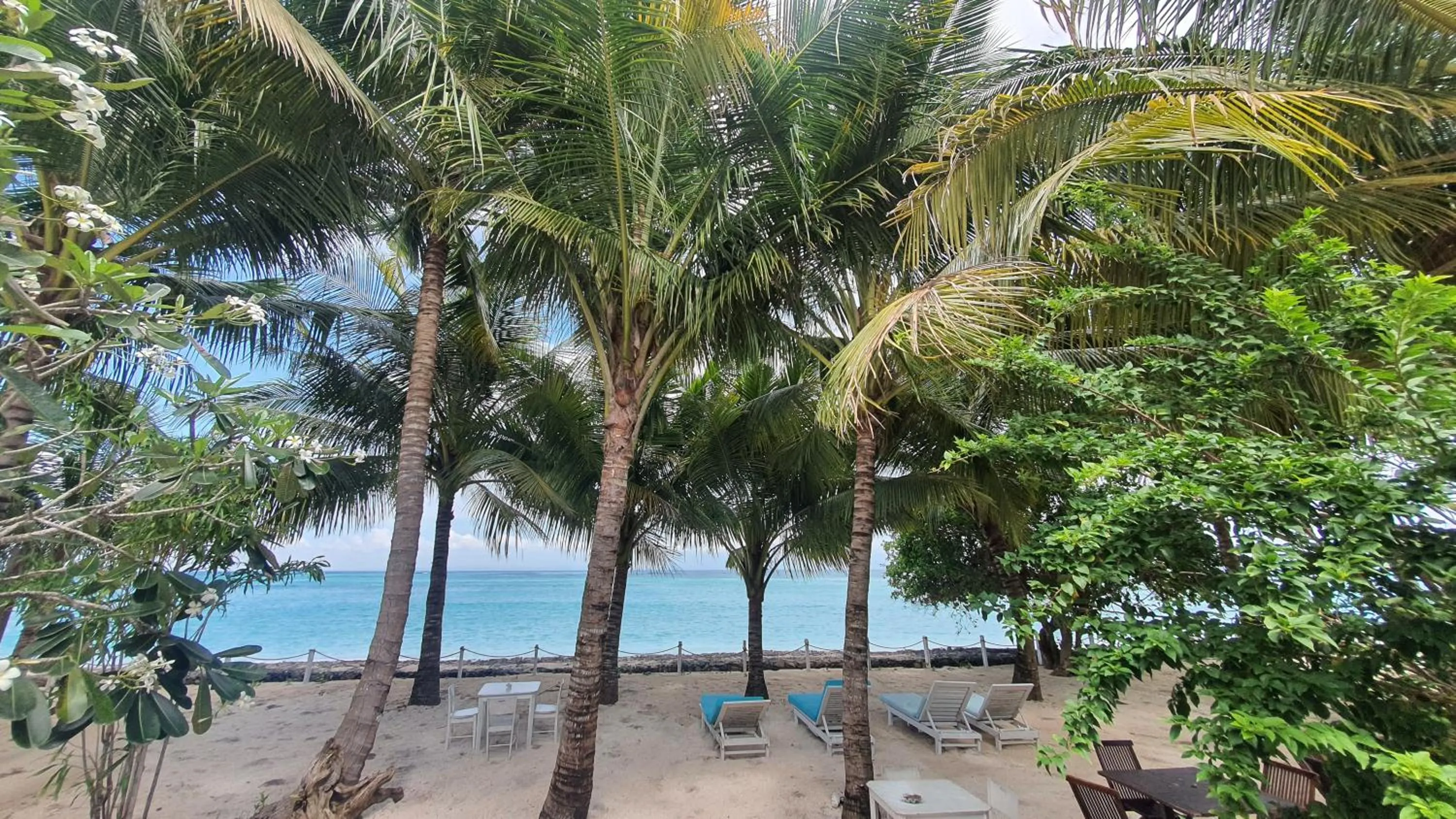 Restaurant/places to eat in Myamo Beach Lodge